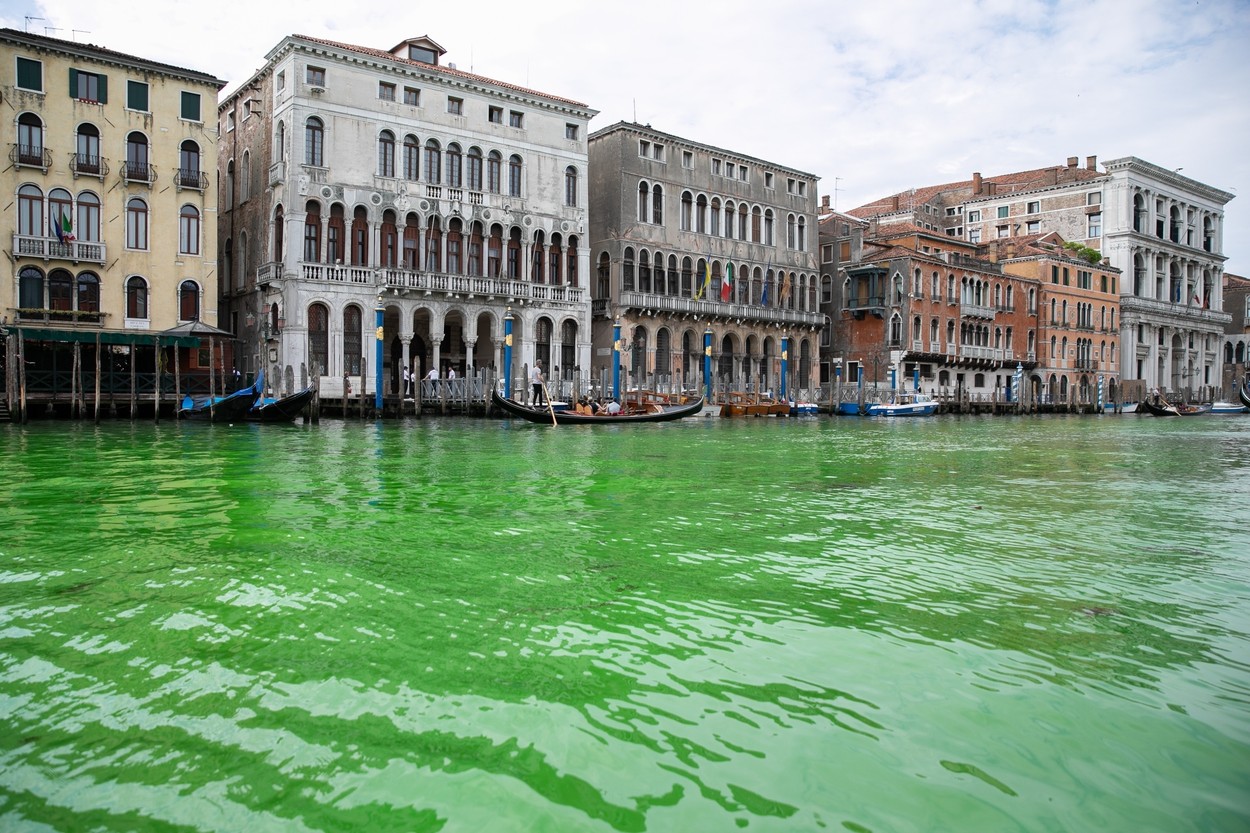 Benetke, Canal Grande, zelena