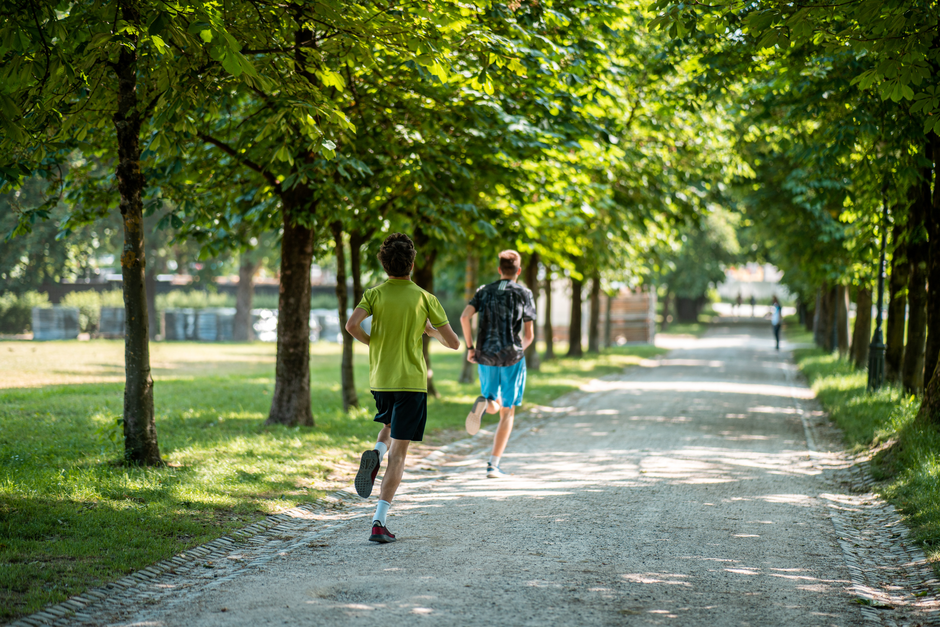 narava, otroci, Tivoli, drevesa, senca, poletje, tek, tekači