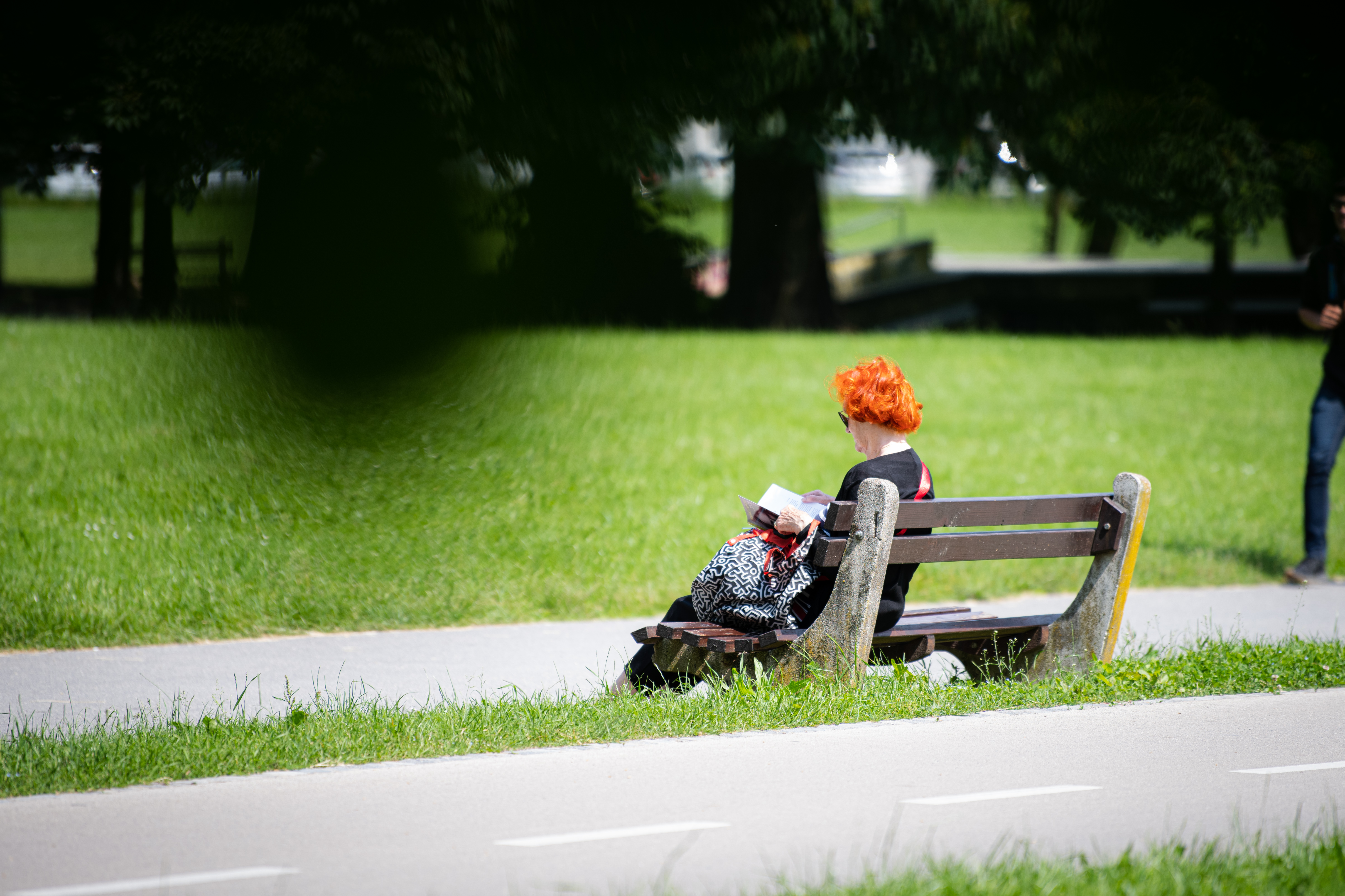 starejši občan, upokojenec, tivoli, park, narava, par, drevesa