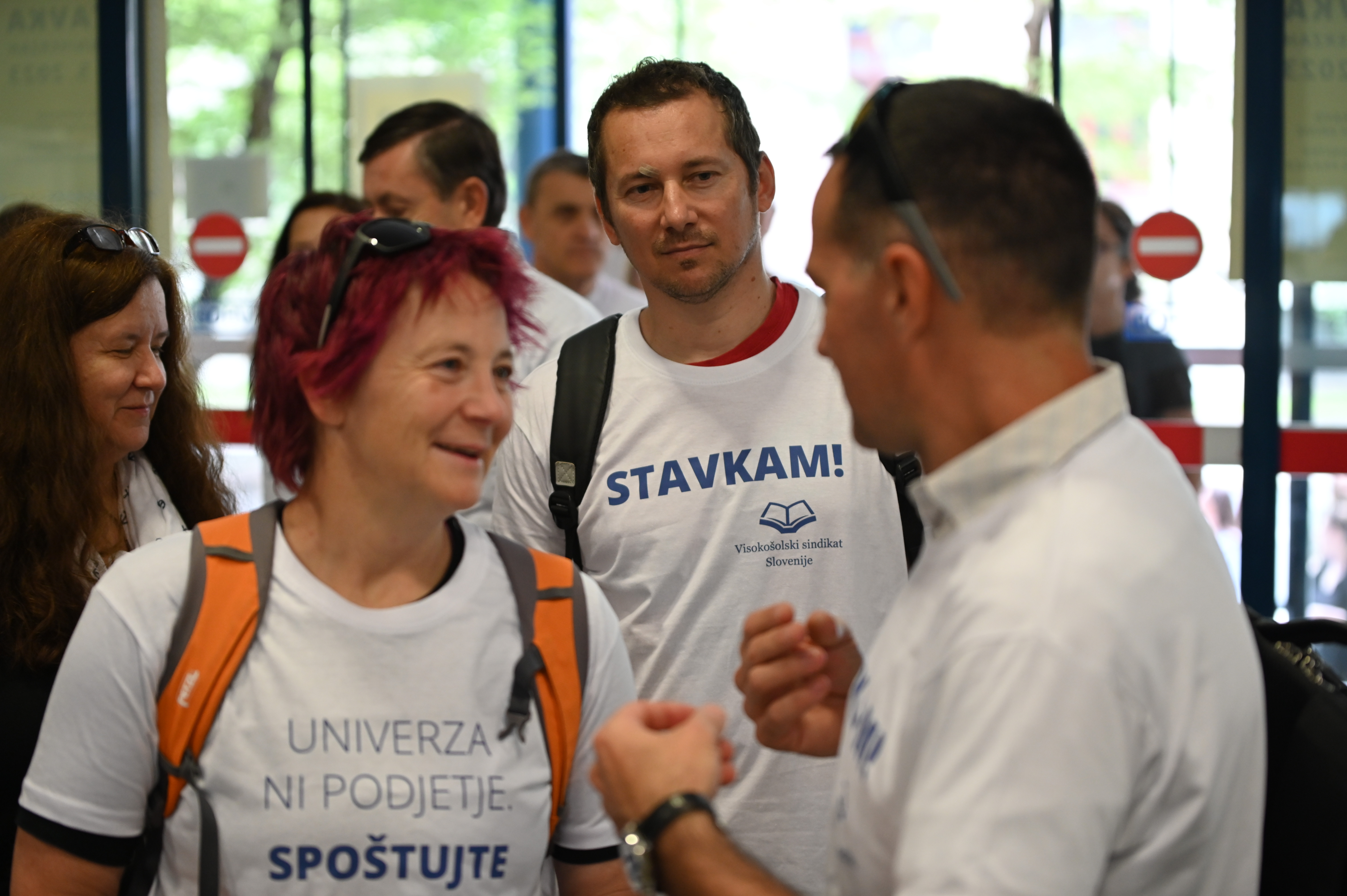 Stavka, visoko šolstvo, profesorji