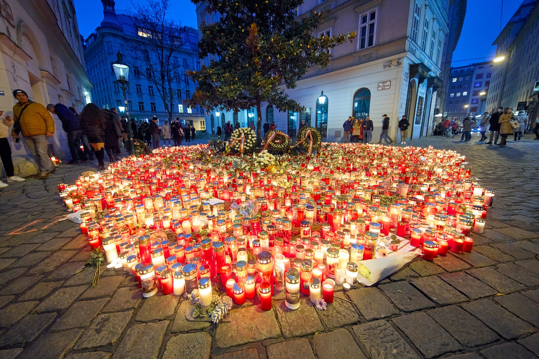 teroristični napad, dunaj