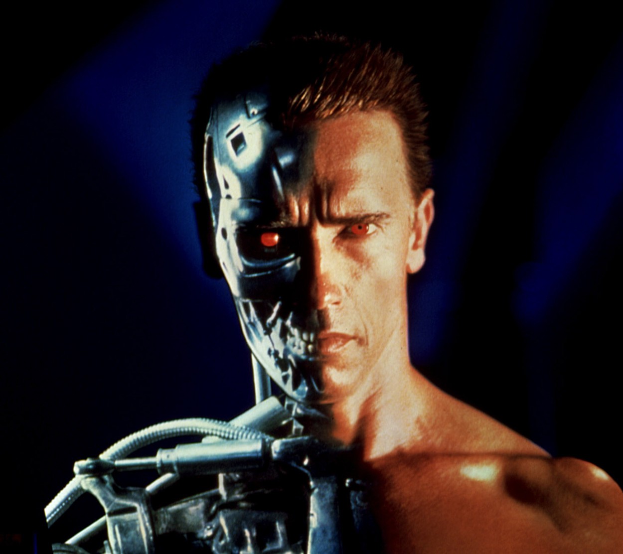 Terminator (Foto: PROFIMEDIA)