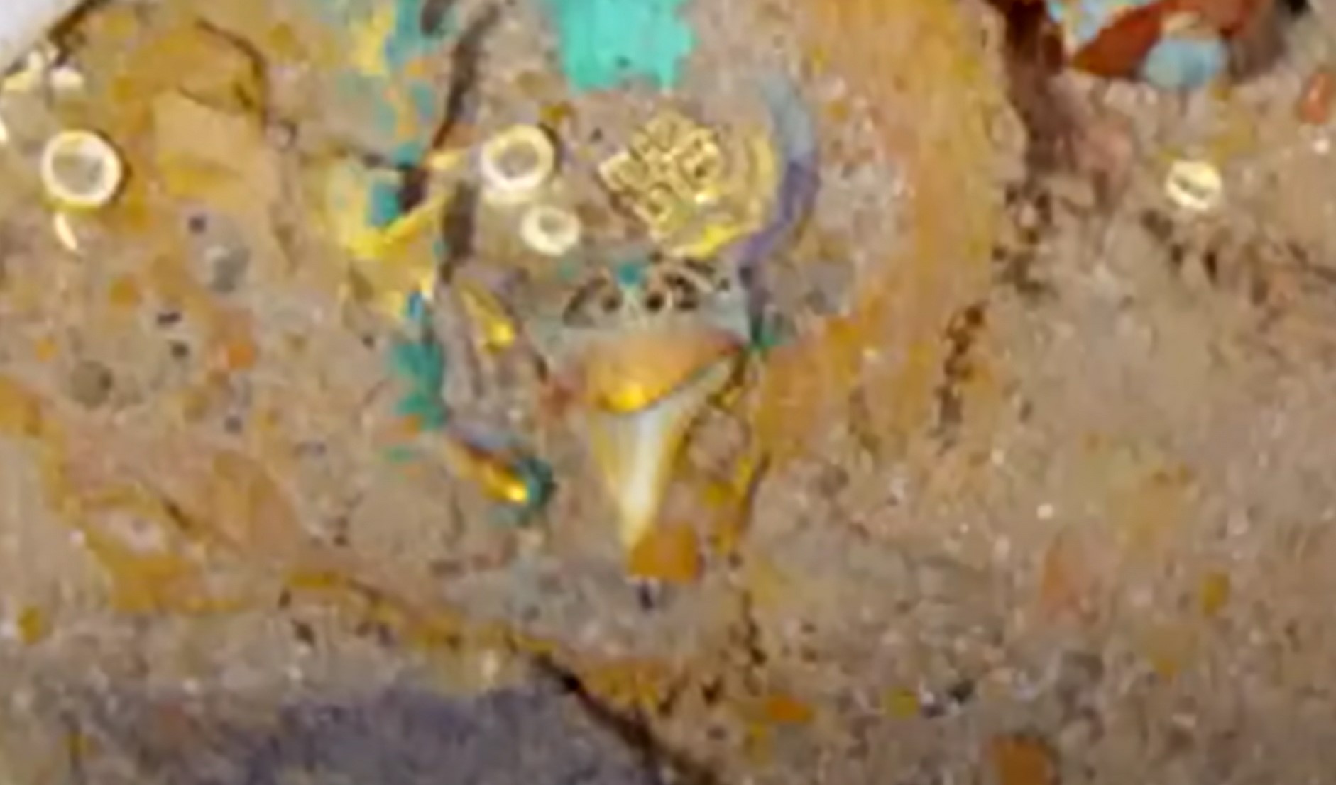 Titanik, ogrlica, megalodon