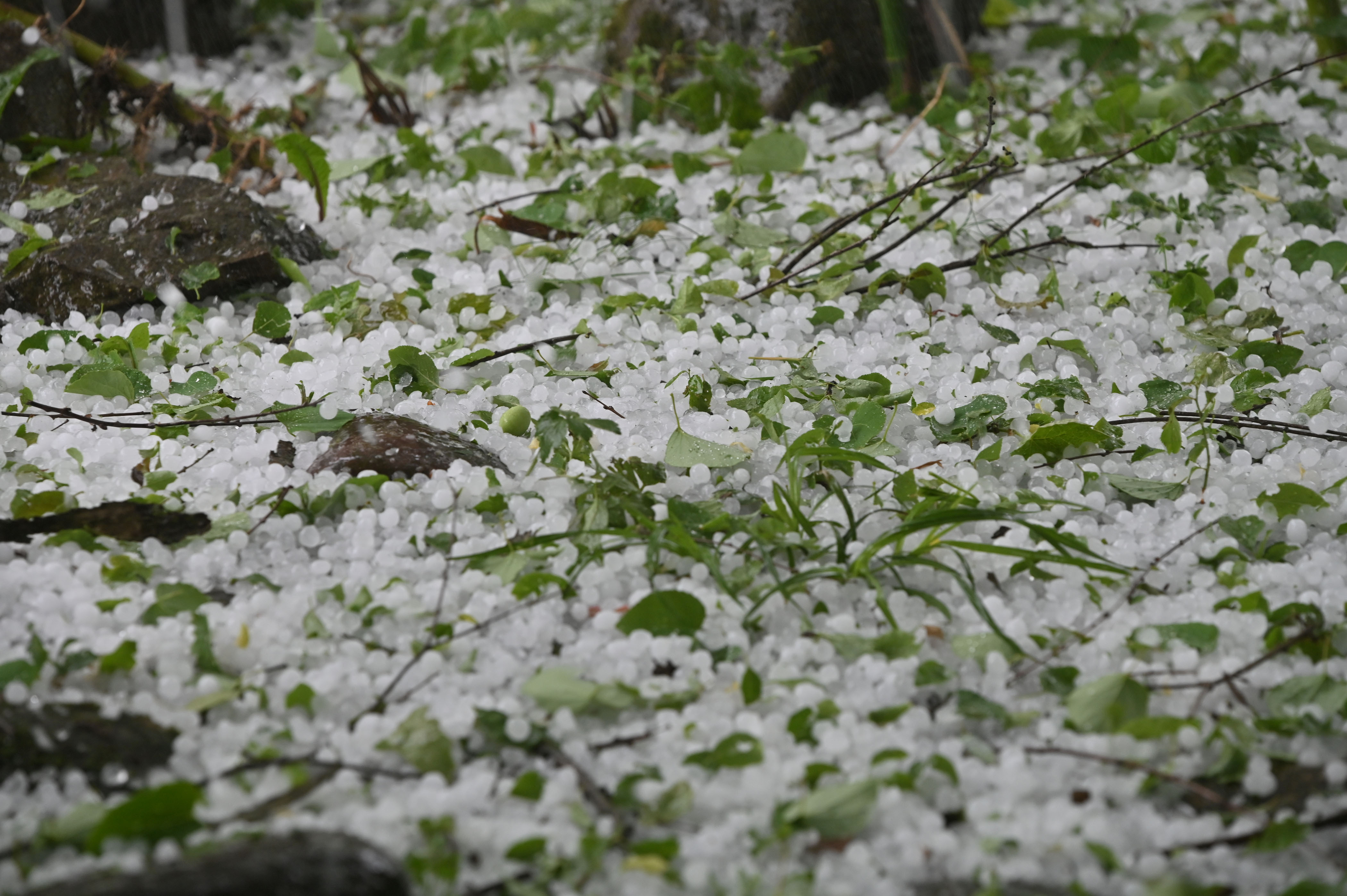 Toča v Medvodah (Foto: Žiga Živulović jr./Bobo)