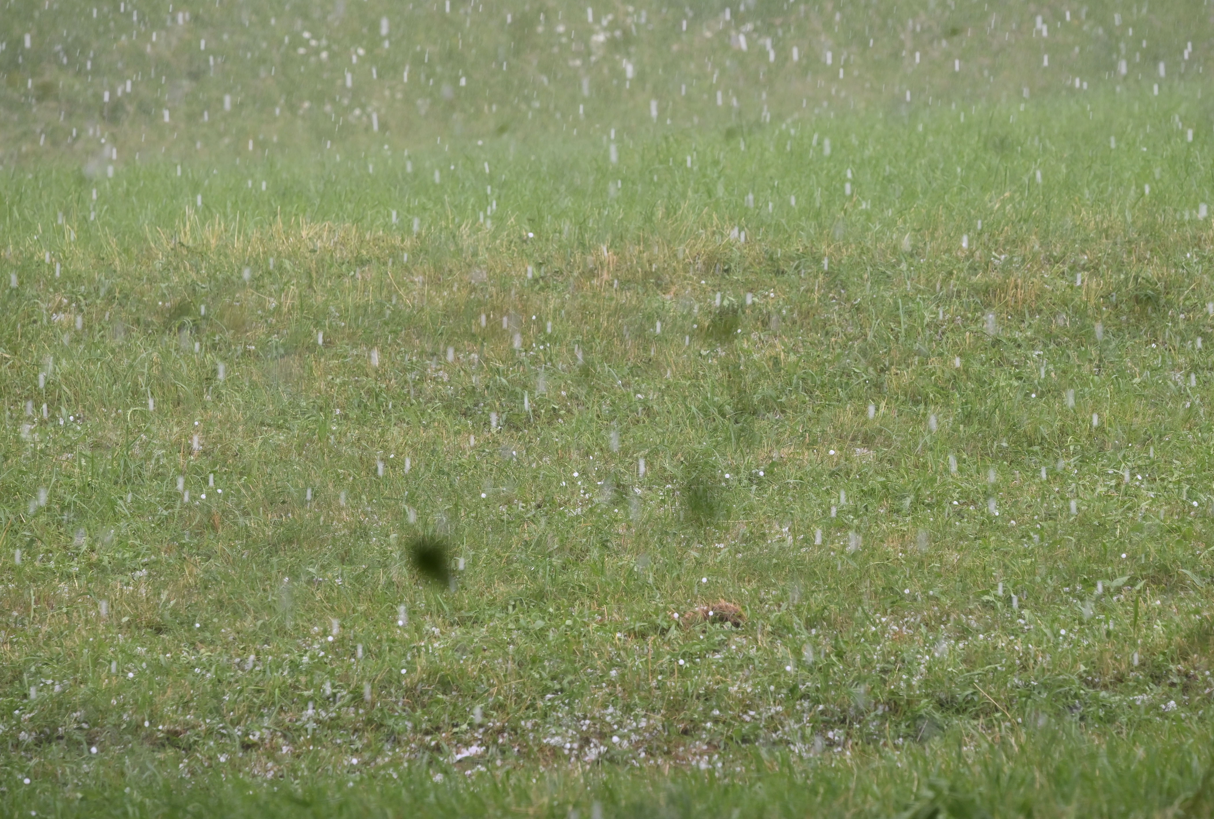Toča v Medvodah (Foto: Žiga Živulović jr./Bobo)