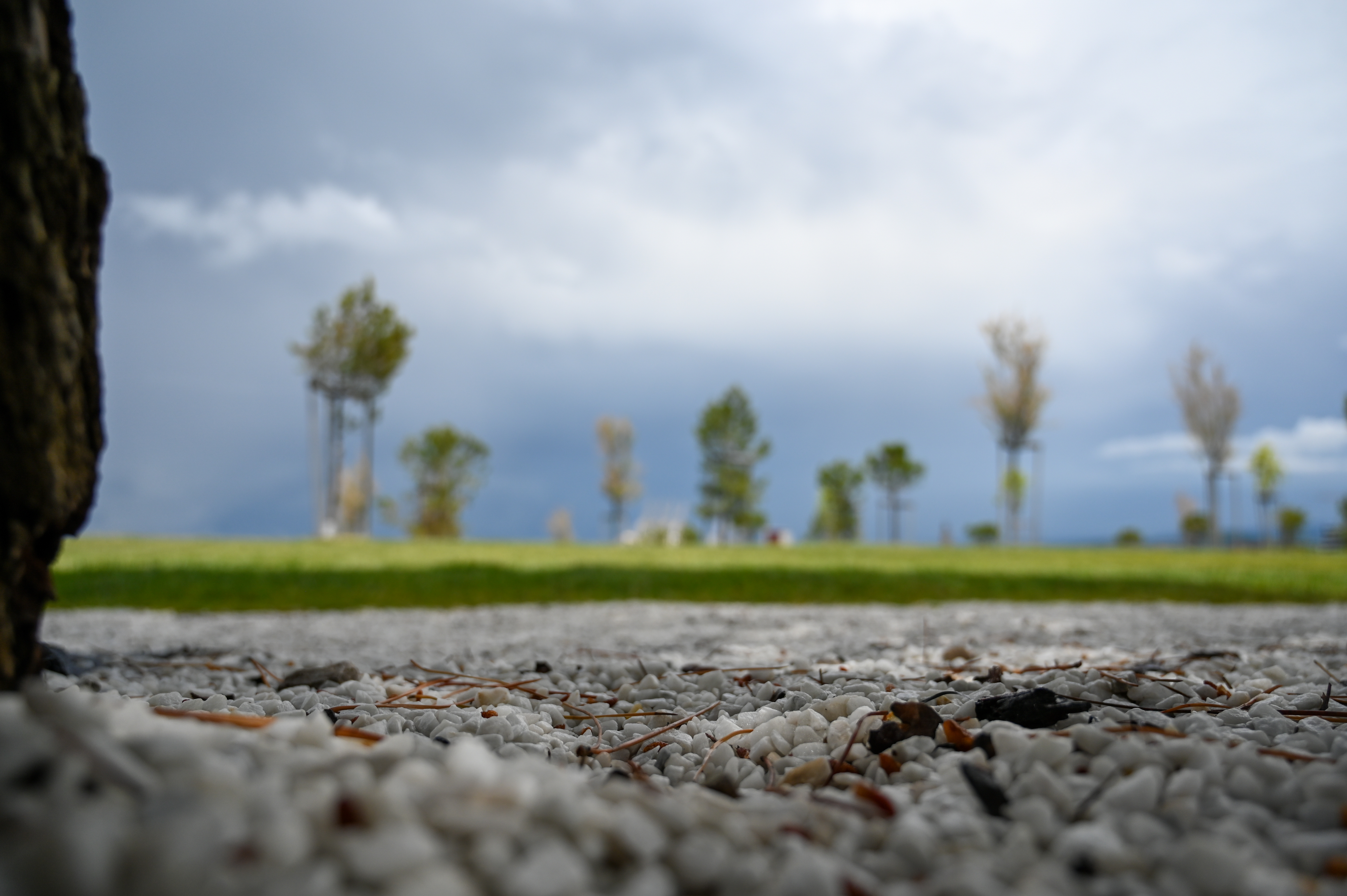 park, zelenje, drevo, drevesa, mlada drevesa, park, zelenica, trava, oblačno, delno jasno, nevihta, nevihtni piš, piš, kamen, kamenčki