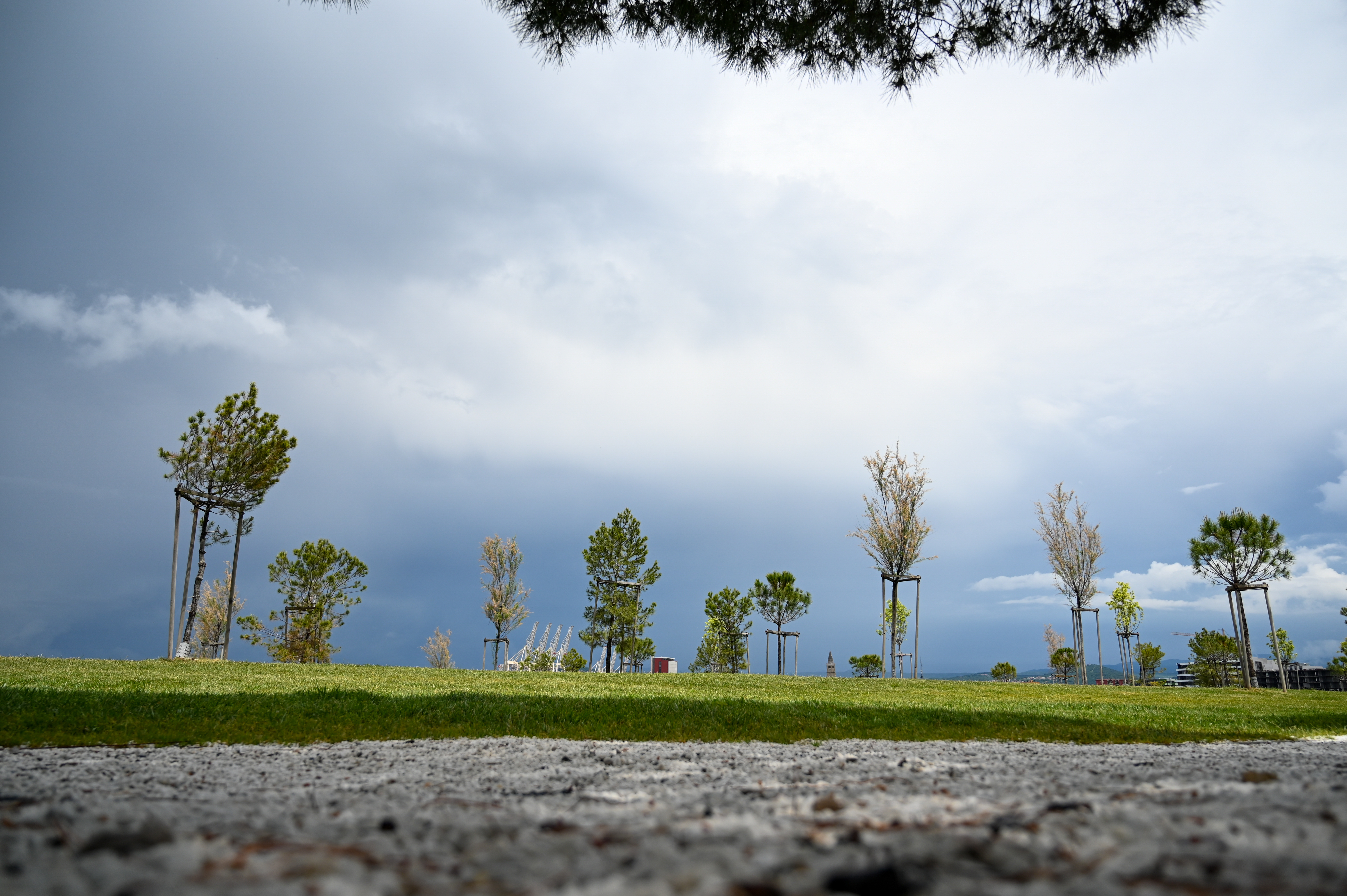 park, zelenje, drevo, drevesa, mlada drevesa, park, zelenica, trava, oblačno, delno jasno, nevihta, nevihtni piš, piš