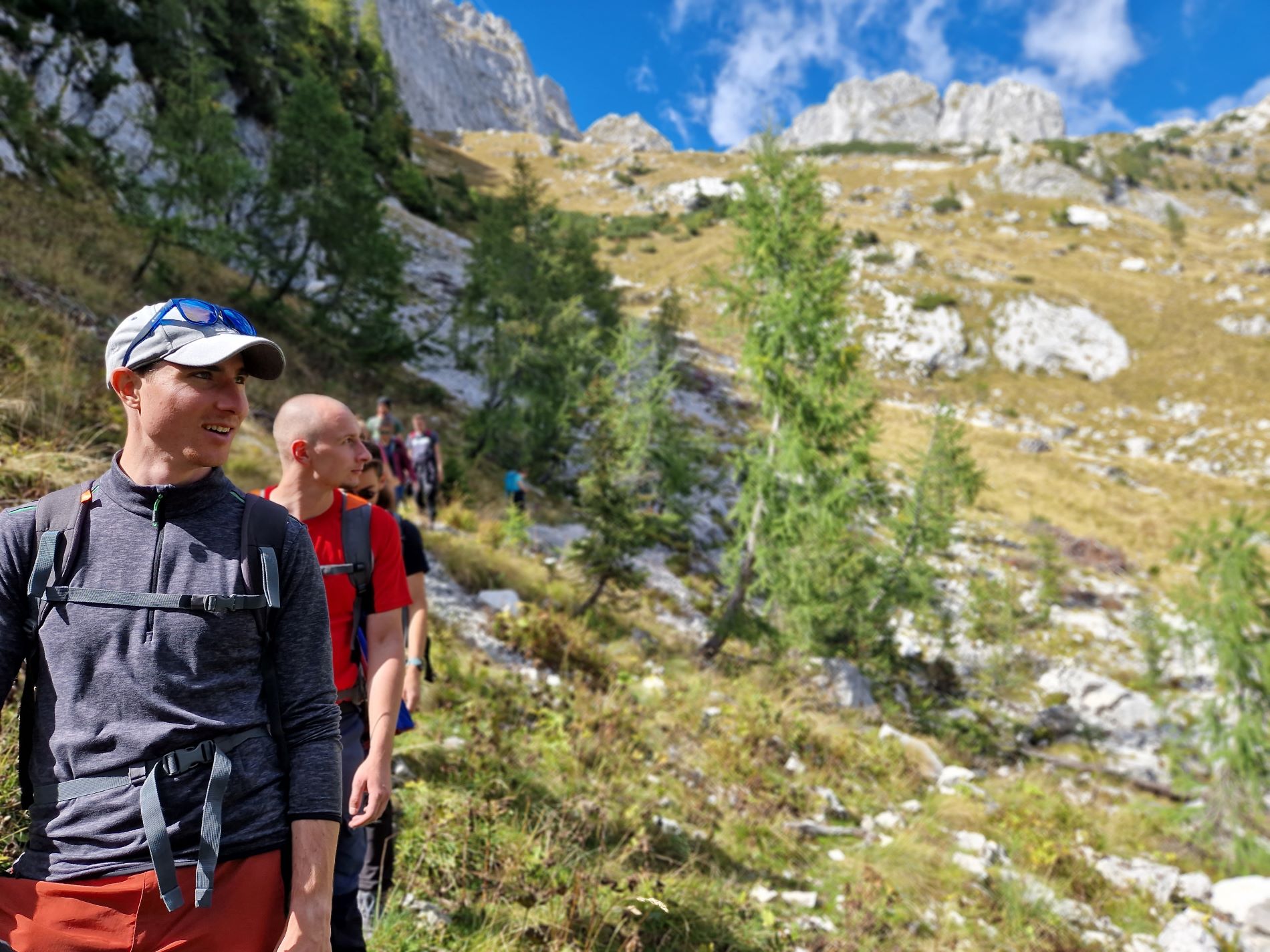 Planinska zveza Slovenije, gore, pohodniki, planinci