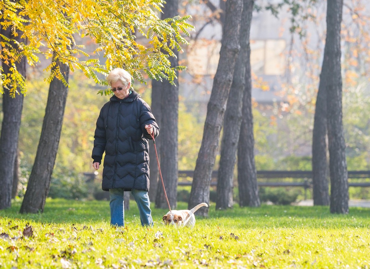 Old woman with a dog in autumn park
