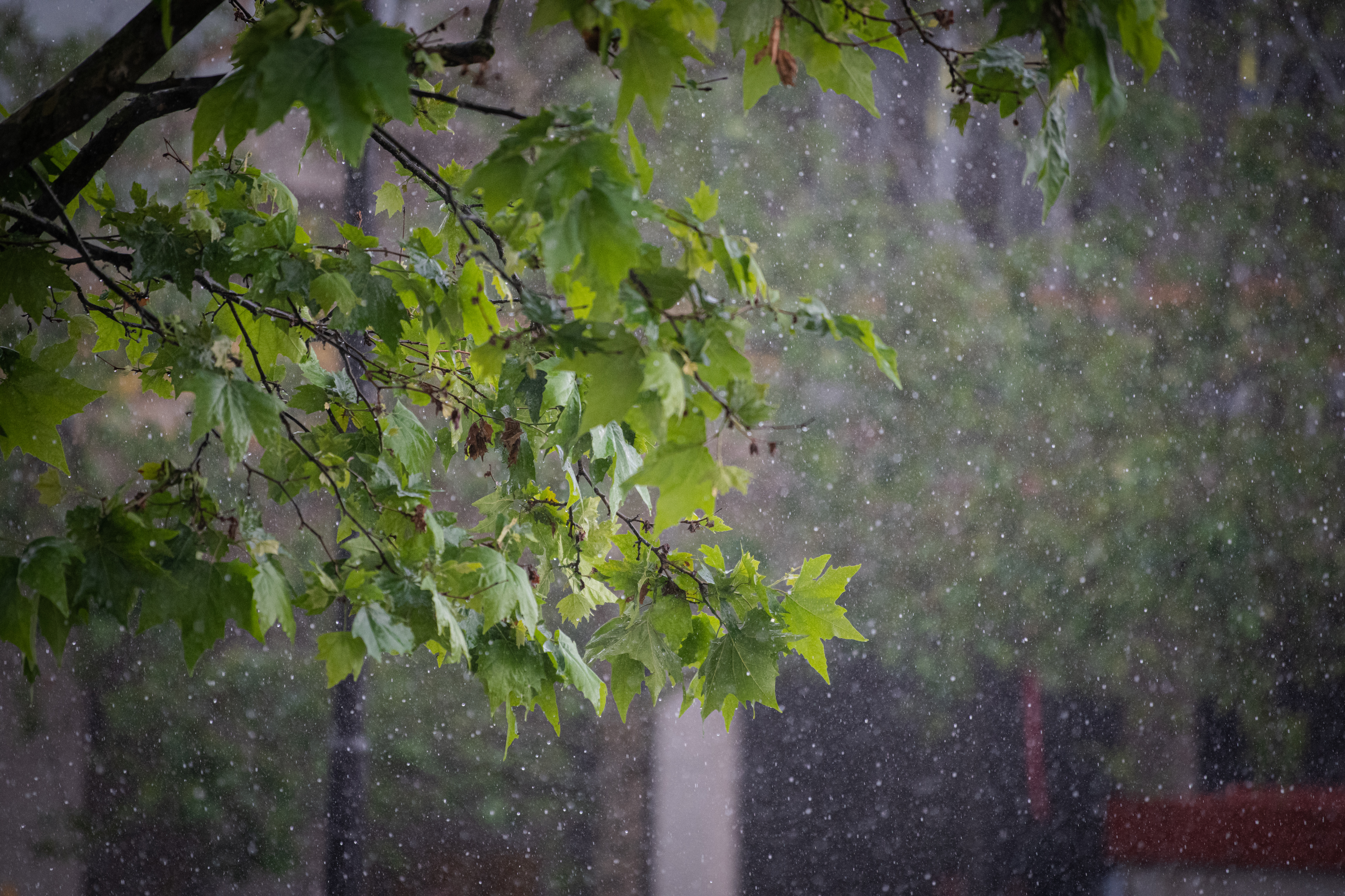 nevihta, dež, neurje, vreme