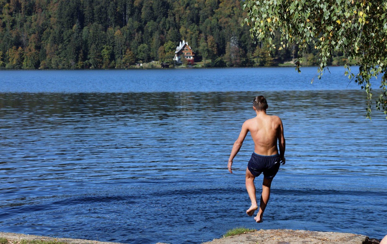 blejsko jezero, plavanje, turizem, poletje, dopust