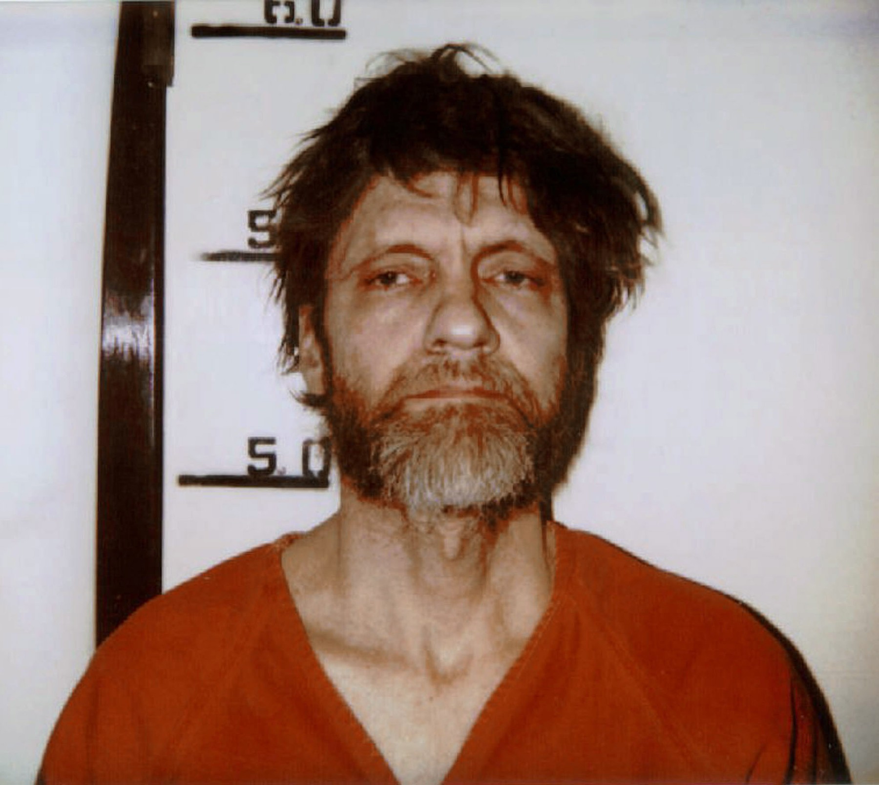 unabomber, ted kaczynski