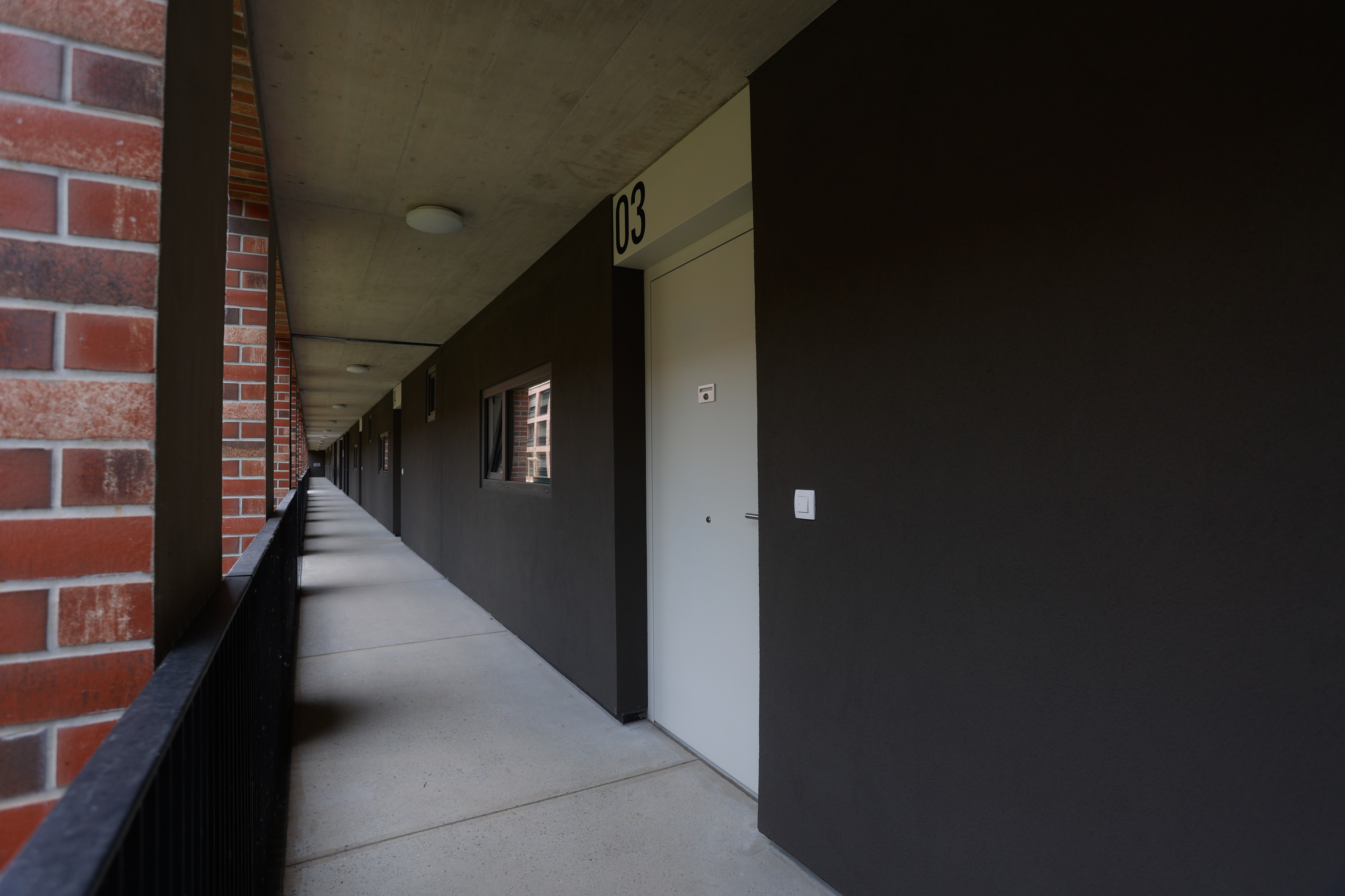 Nova stanovanjska soseska Rakova jelša