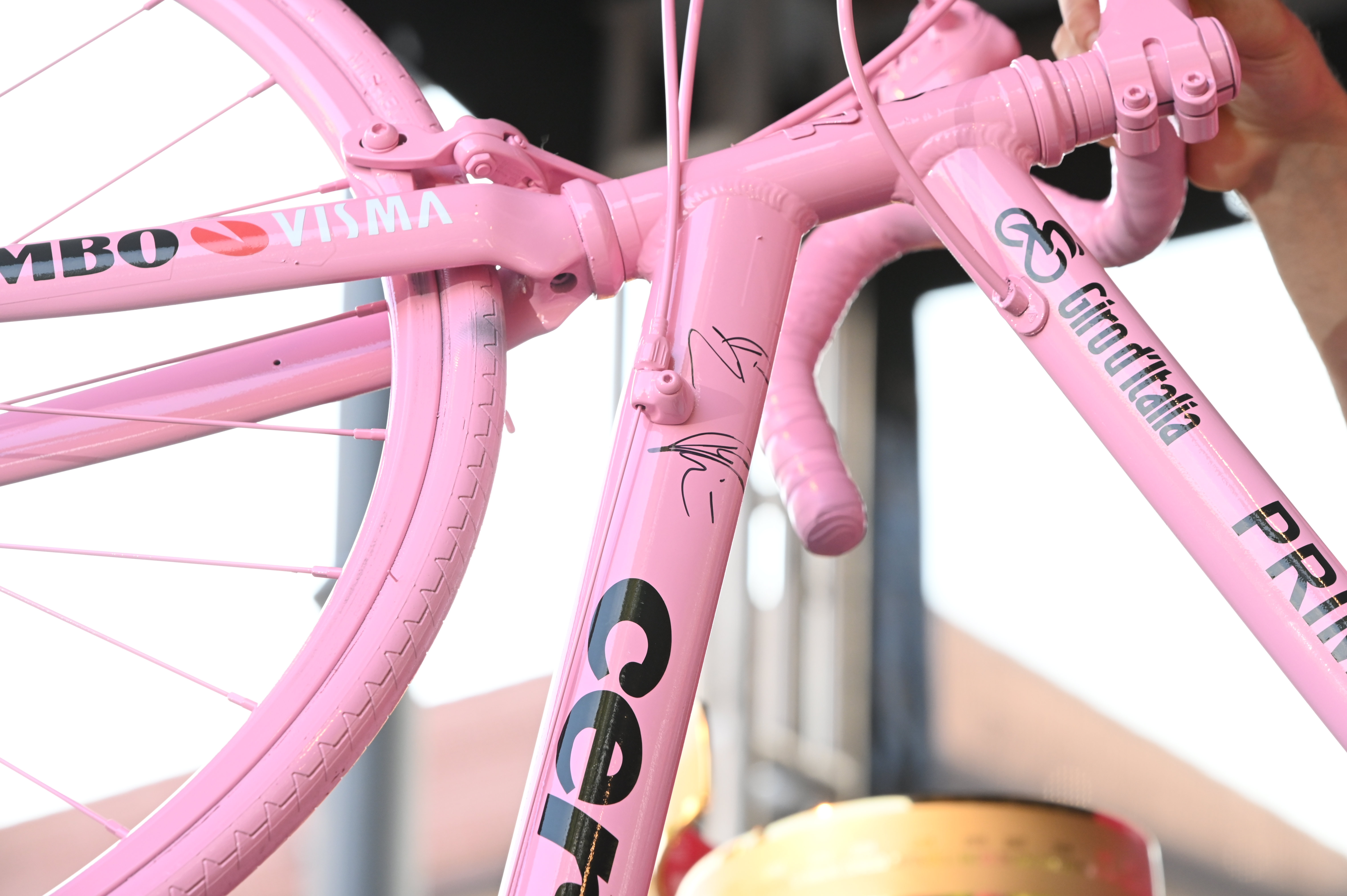 Primož Roglič, sprejem, Kongresni trg