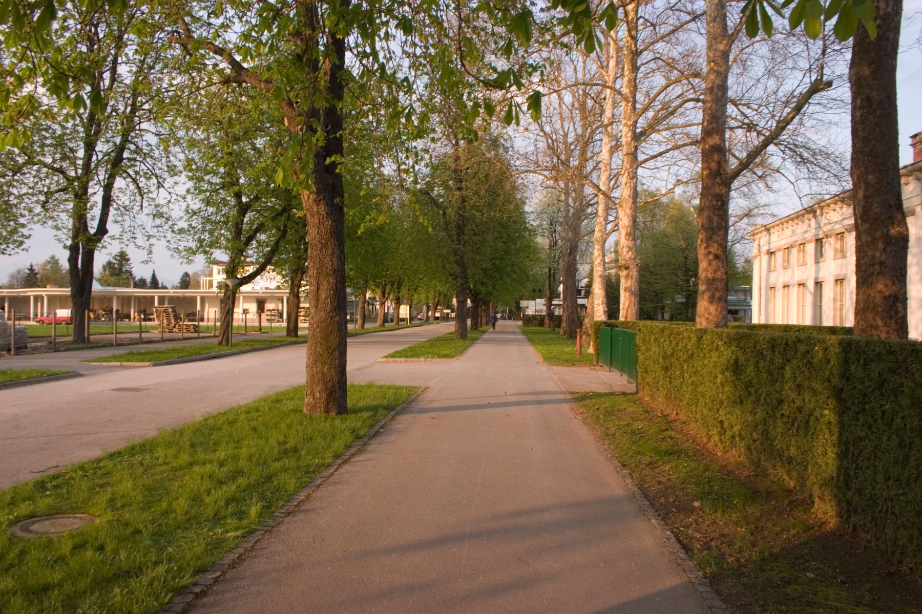 žale, pokopališče