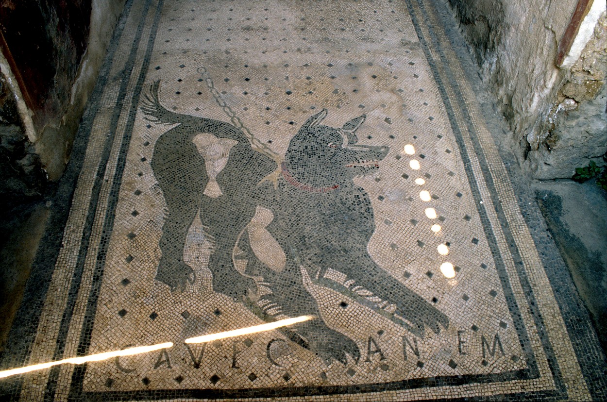 na katerem je napis Cave Canem, kar bi danes prevedli kot Pozor, pes.