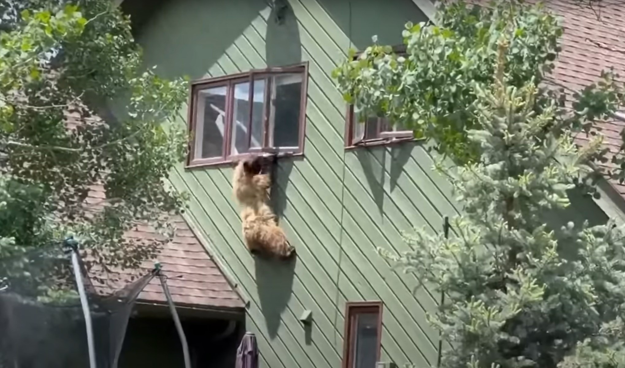 medved, Kolorado, ZDA