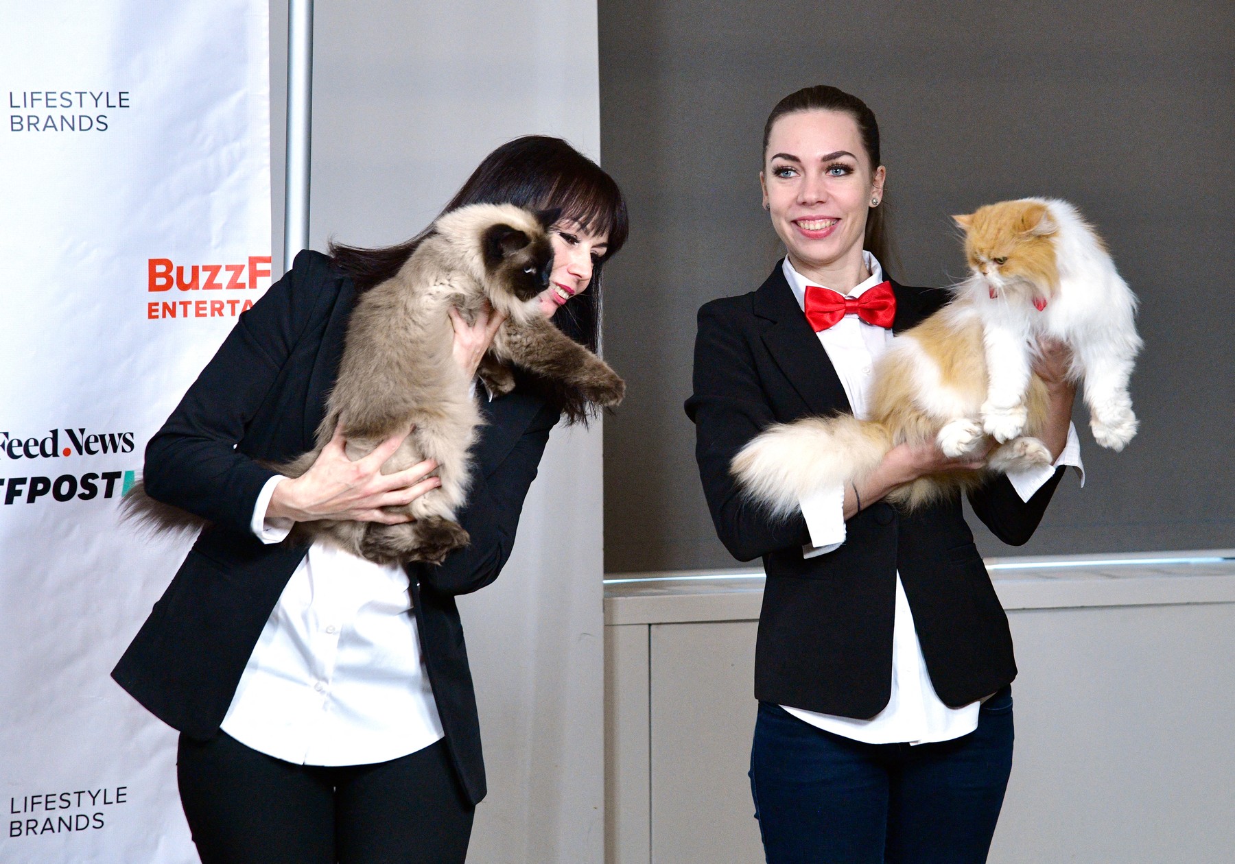 Savitsky mačke, mačke, triki