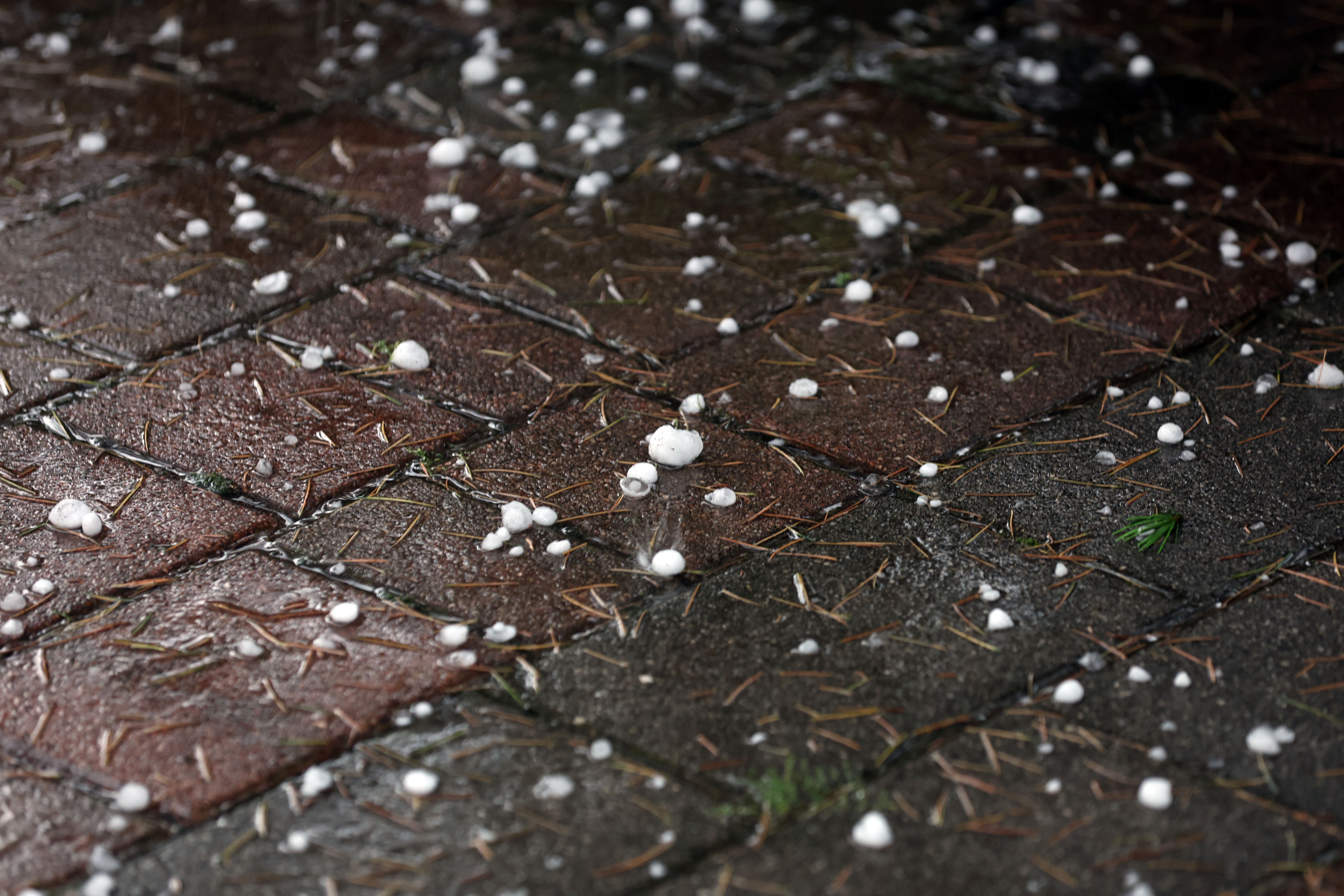 Borut Živulović/BOBO