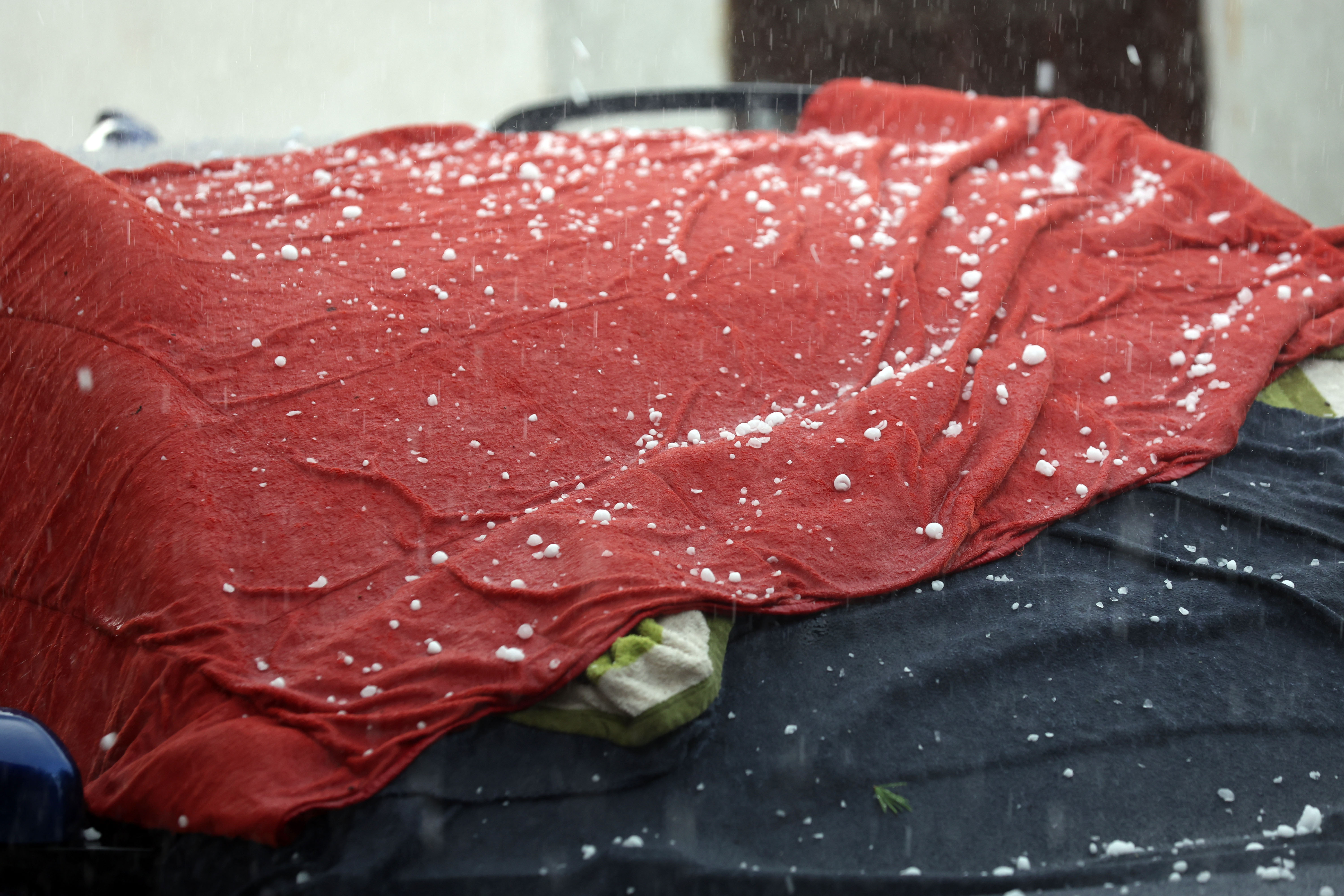 Borut Živulović/BOBO