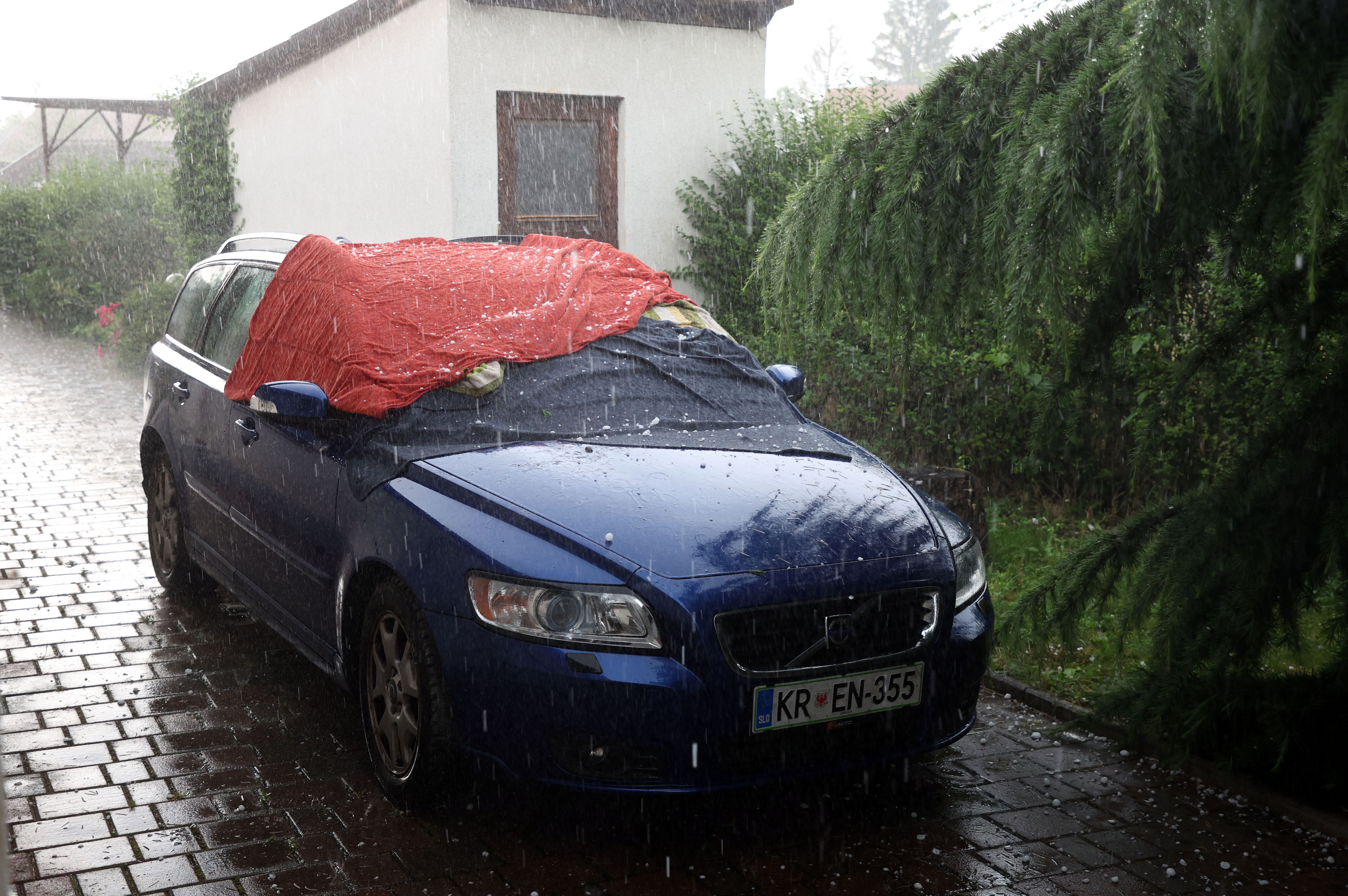 Borut Živulović/BOBO