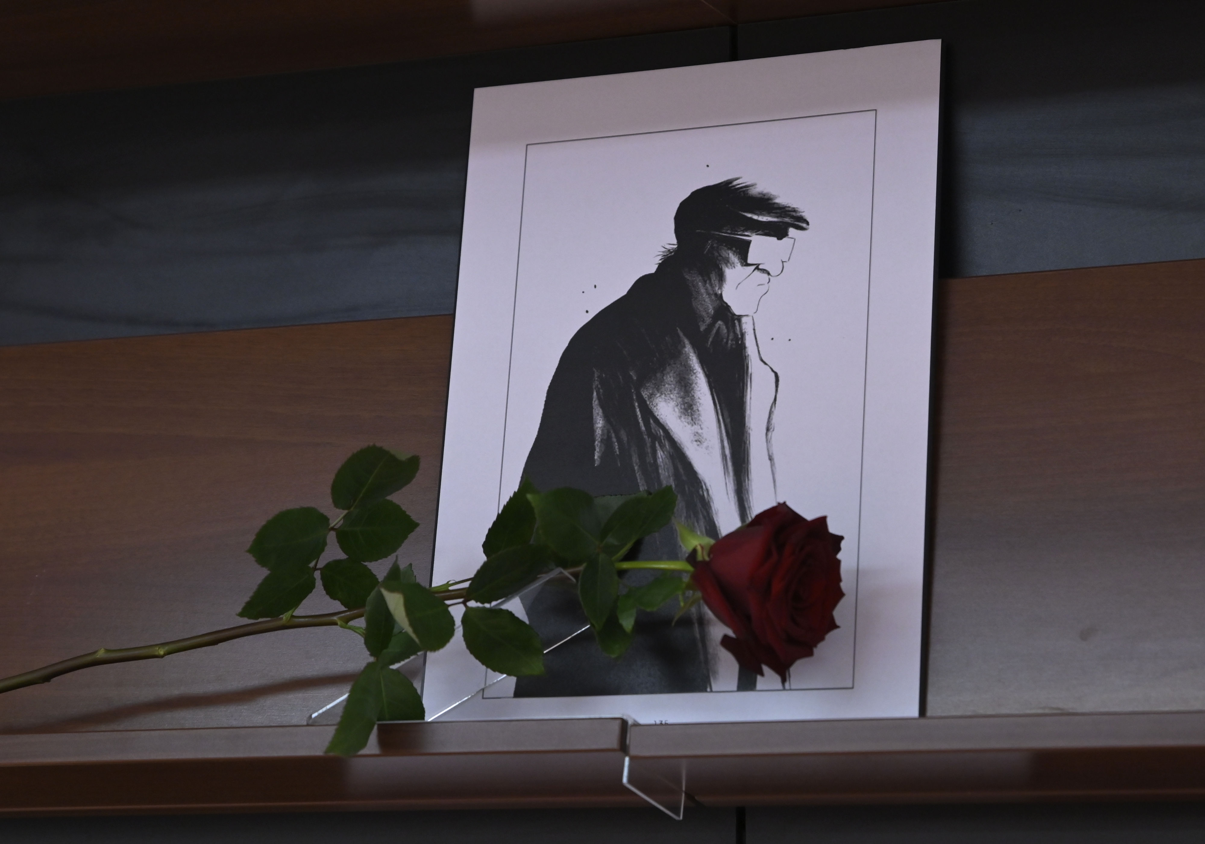 Boris Pahor, Nekropola, strip