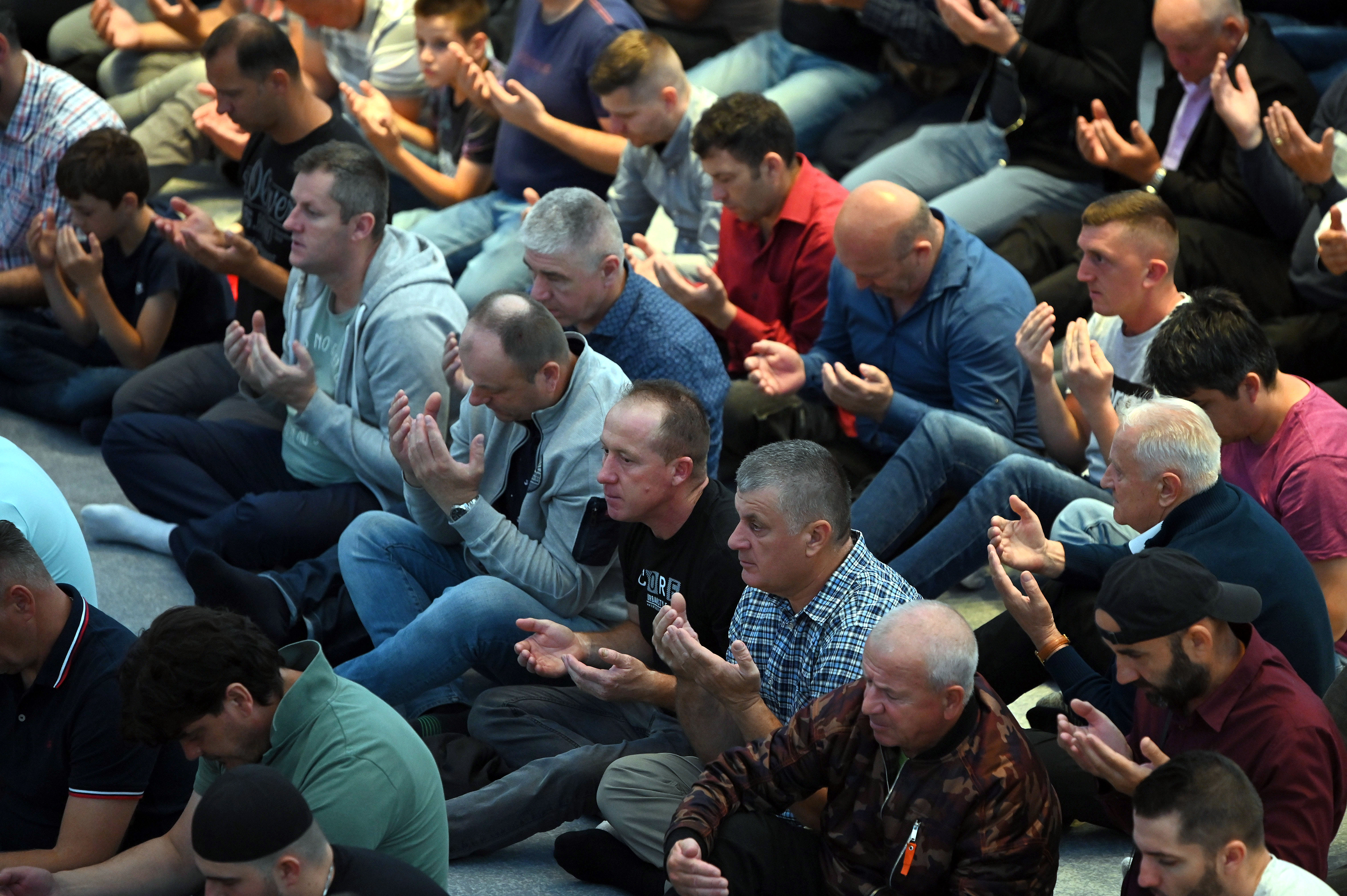 Žiga Živulović jr. /BOBO