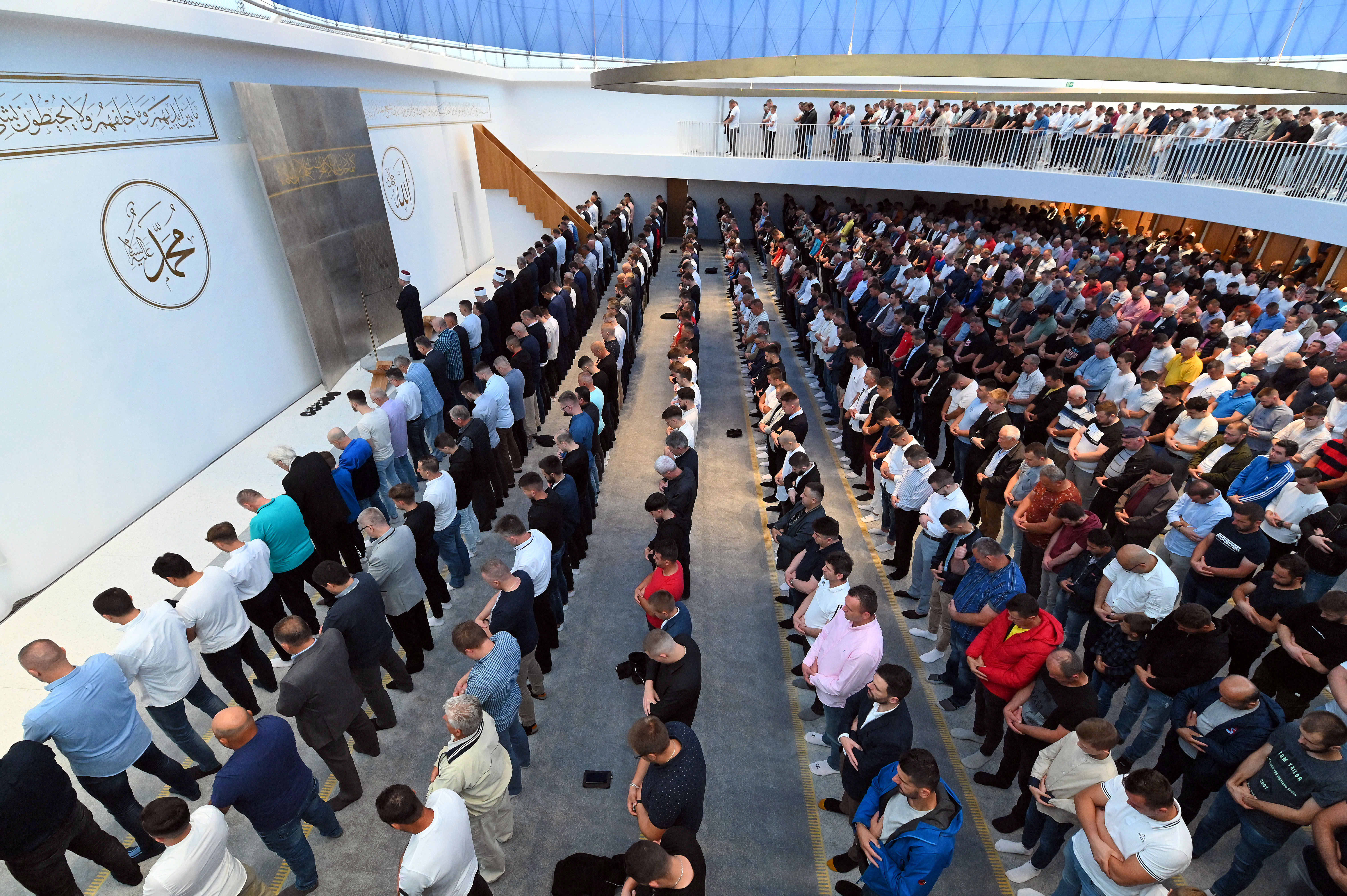 Žiga Živulović jr. /BOBO