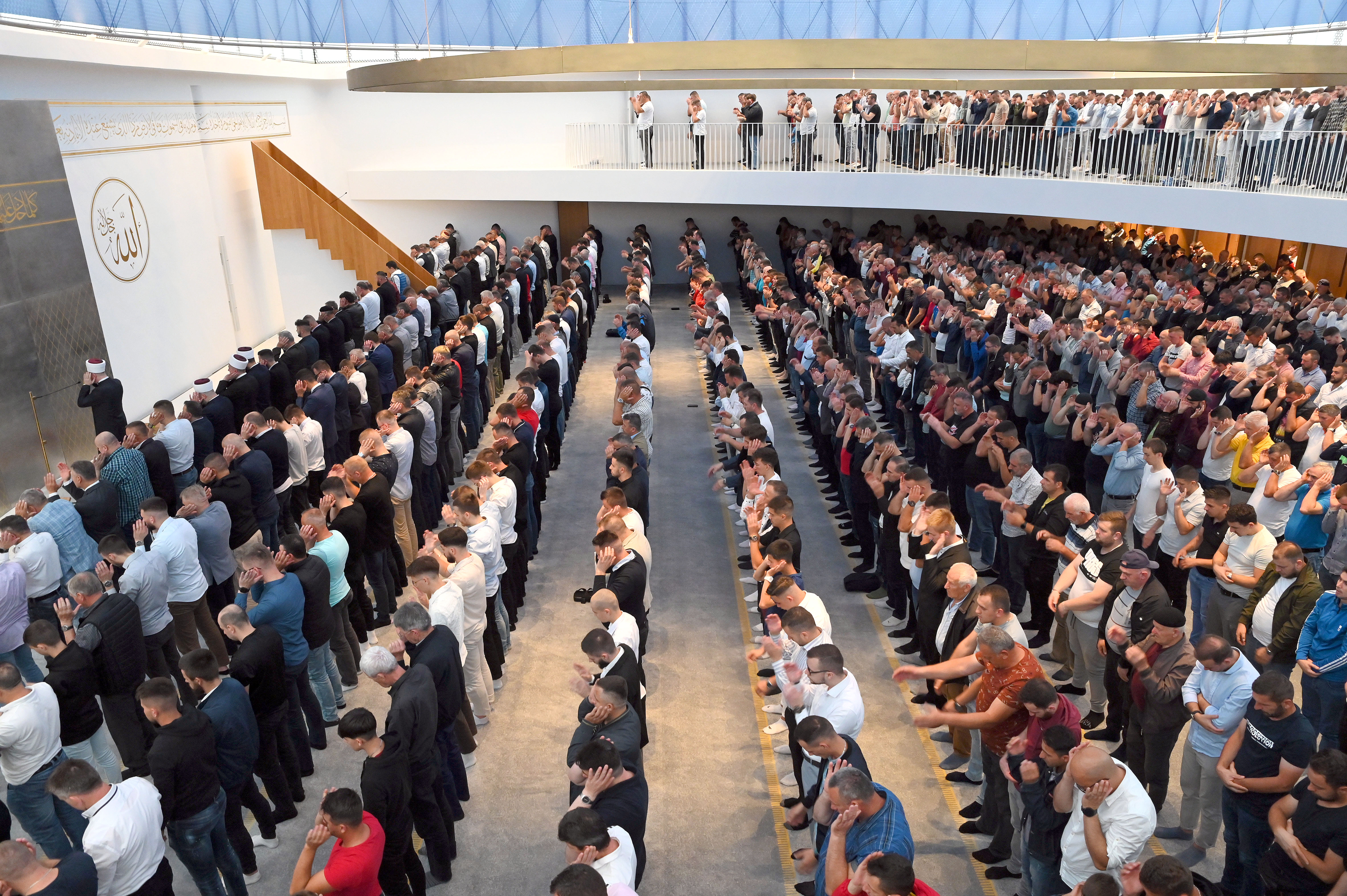 Žiga Živulović jr. /BOBO