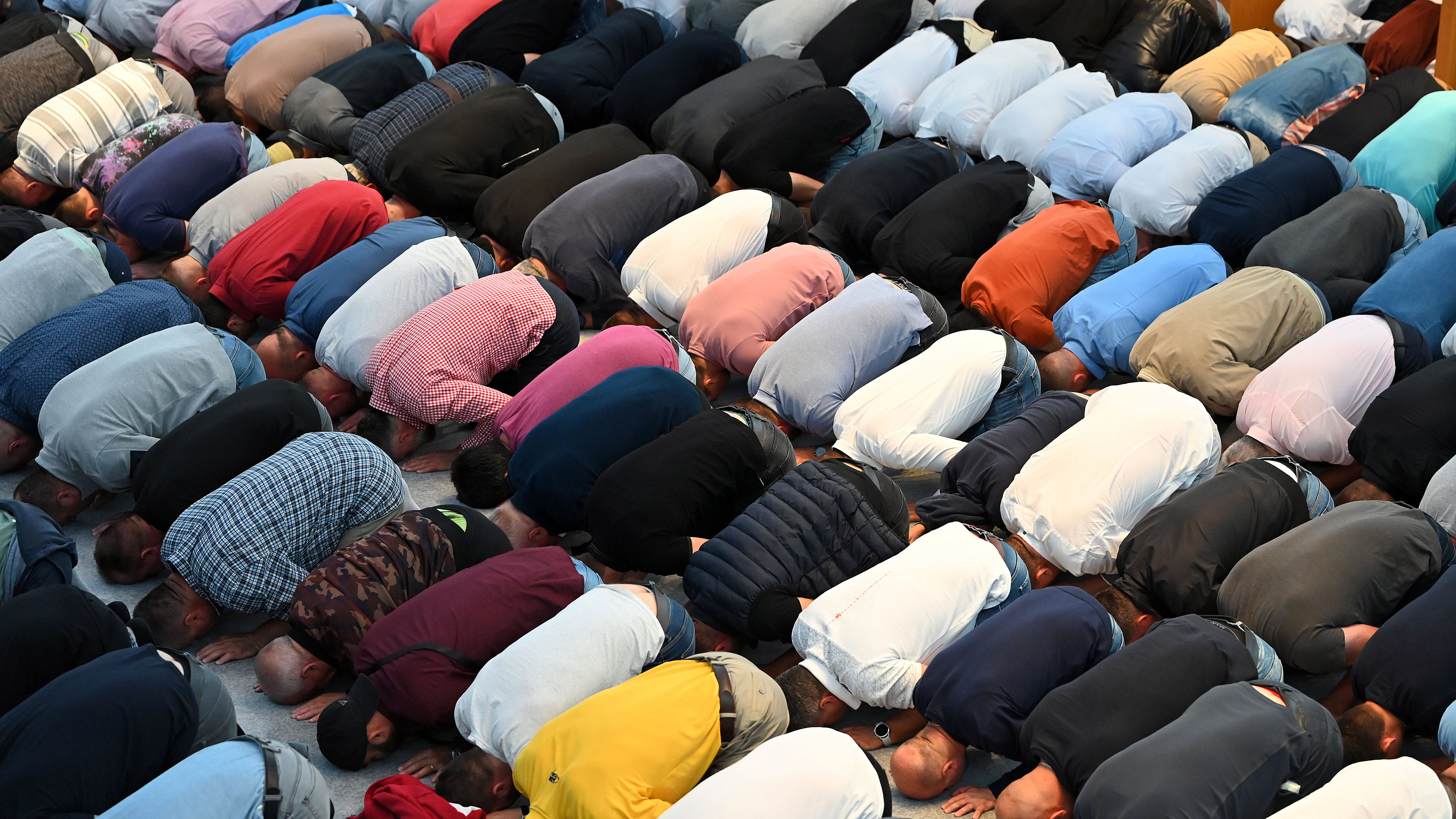 Žiga Živulović jr. /BOBO