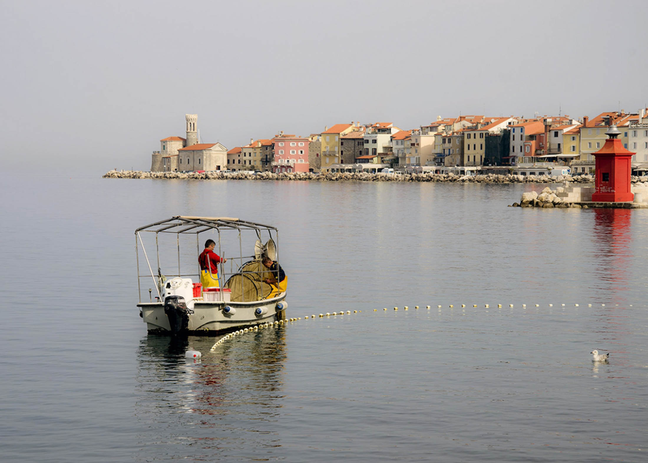 ribič,ribarjenje,morje,obala,slovenija,čoln