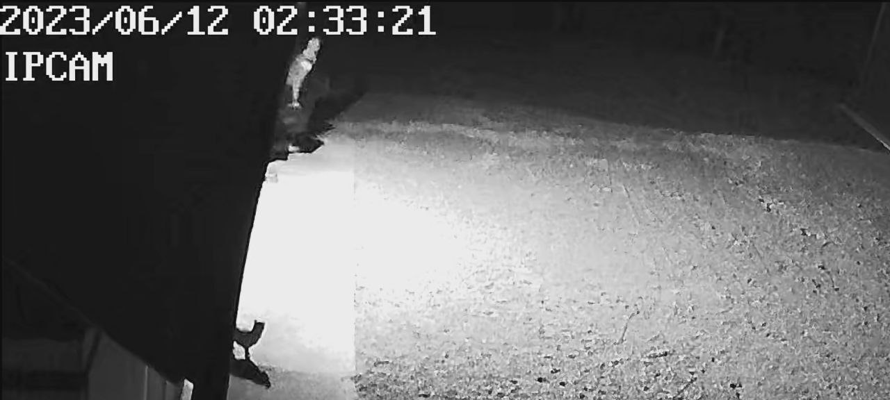 Nepridipravi vlomi v PGD Šentjernej