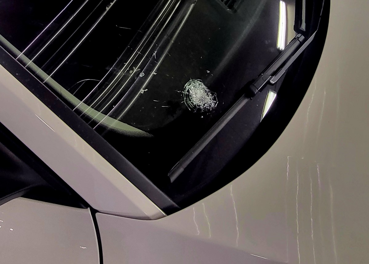 policija, šmarjeta, streljanje,