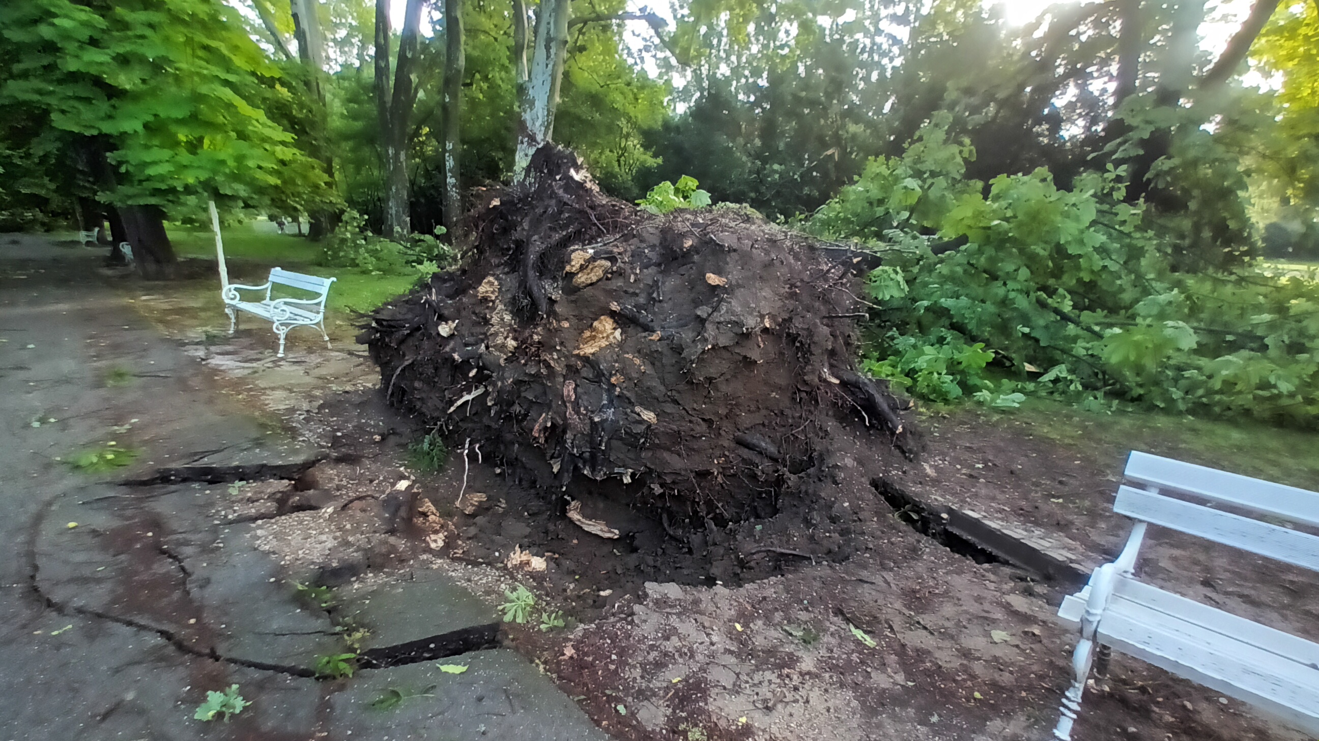Mestna občina Maribor