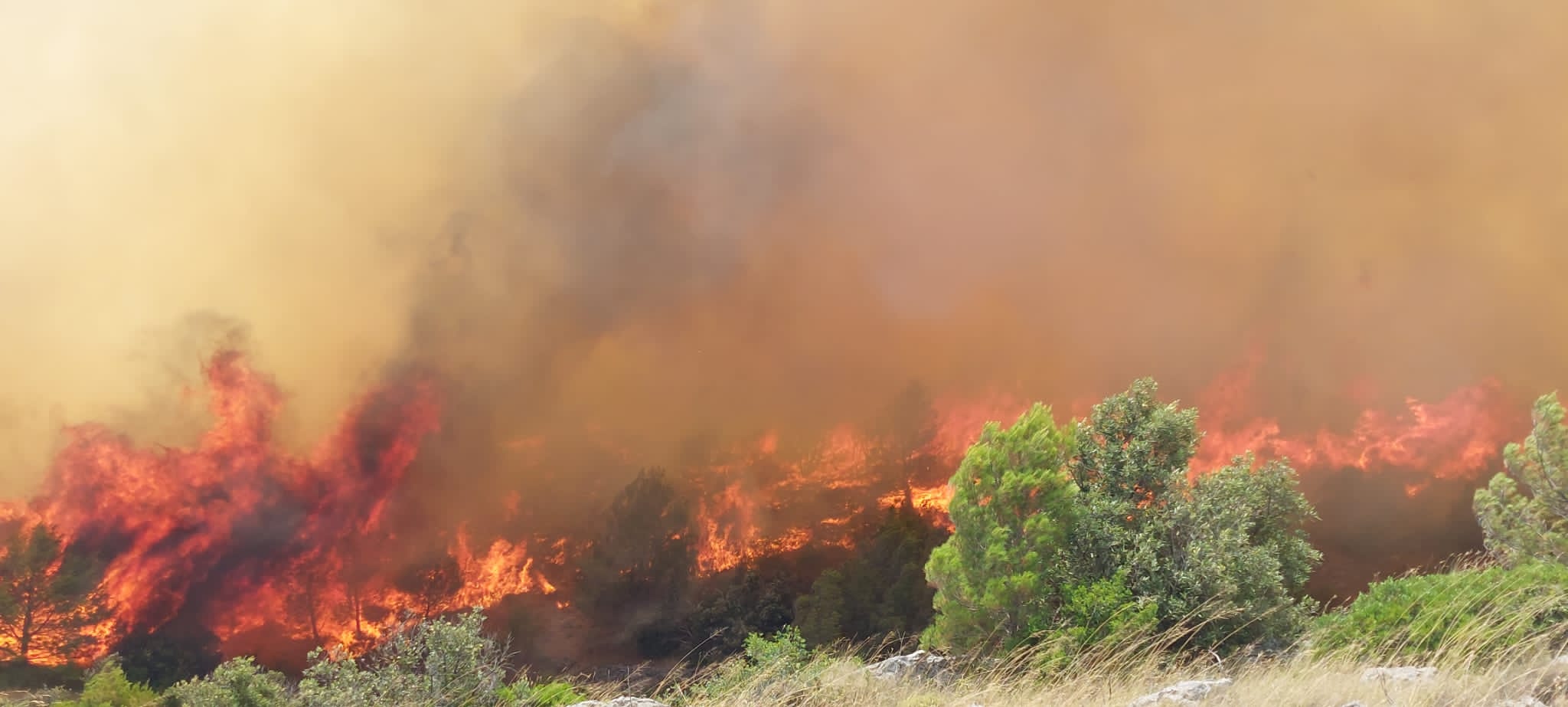 Hrvatska vatrogasna zajednica/FB