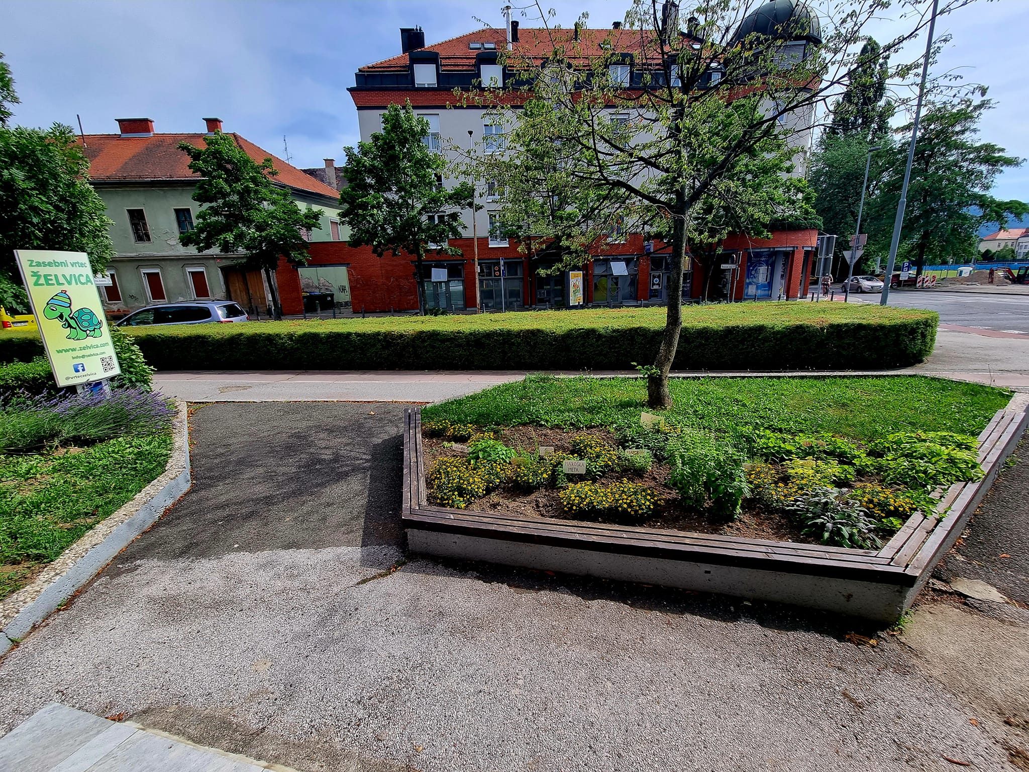 Vrtec Maribor zelišča