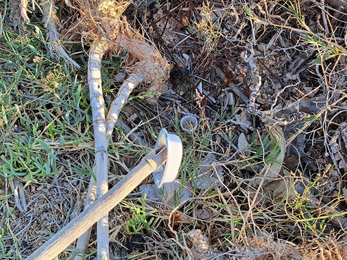 Smeti na Pagu, hrvaška, plaža