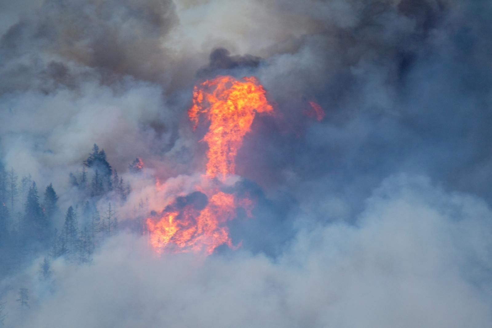 Požar v Švici,, požar, gozd