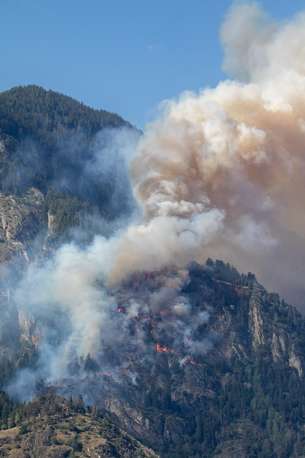 Požar v Švici,, požar, gozd