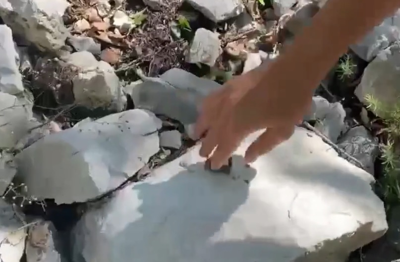 najstnik, kača, Okrešelj