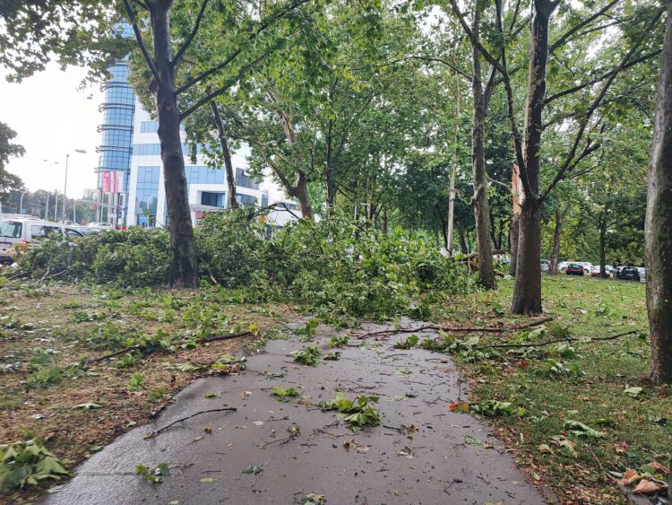 Posledice neurja v Zagrebu (Foto: N1)