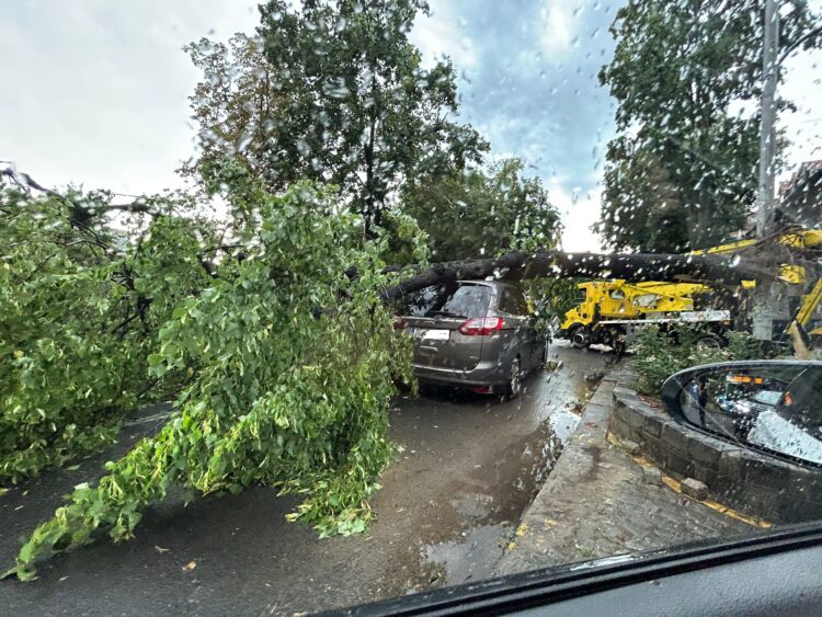 Posledice neurja v Zagrebu (Foto: N1)
