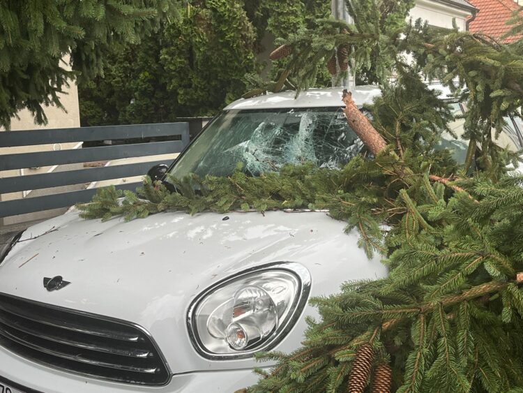 Posledice neurja v Zagrebu (Foto: N1)