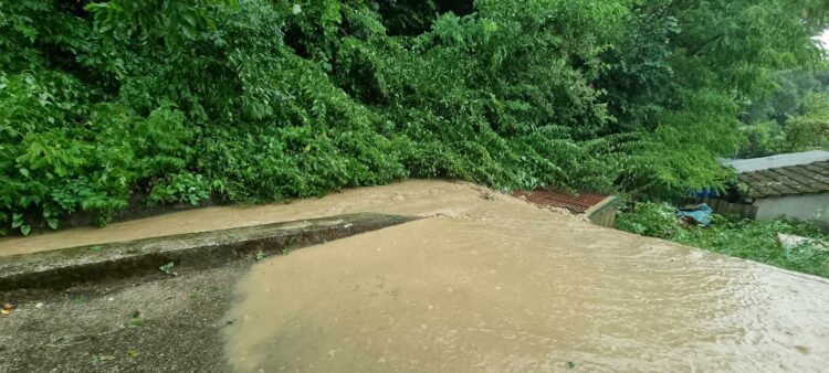 Posledice neurja v Zagrebu (Foto: N1)