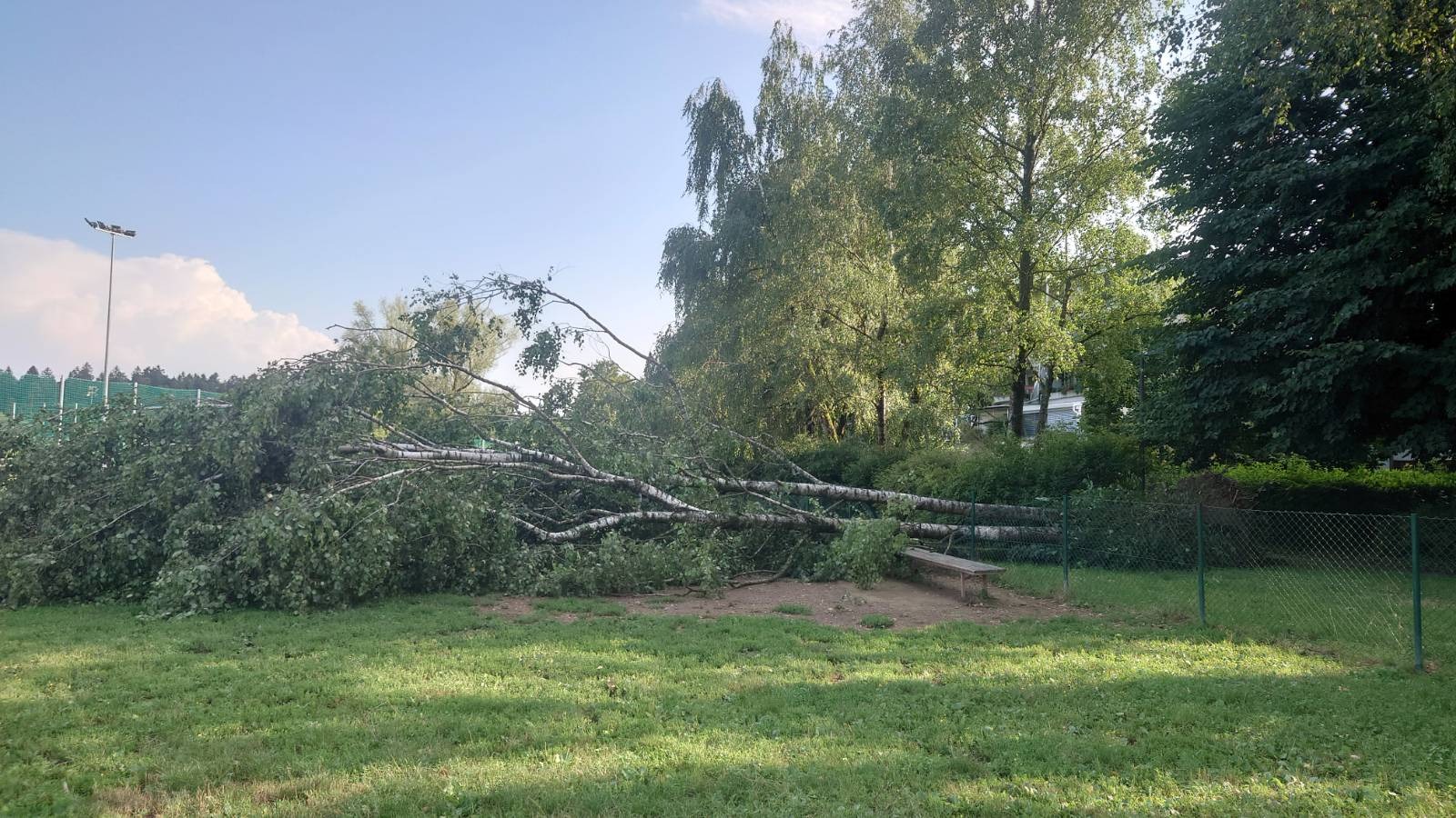 Posledice neurja na Koseškem bajerju v Ljubljani.