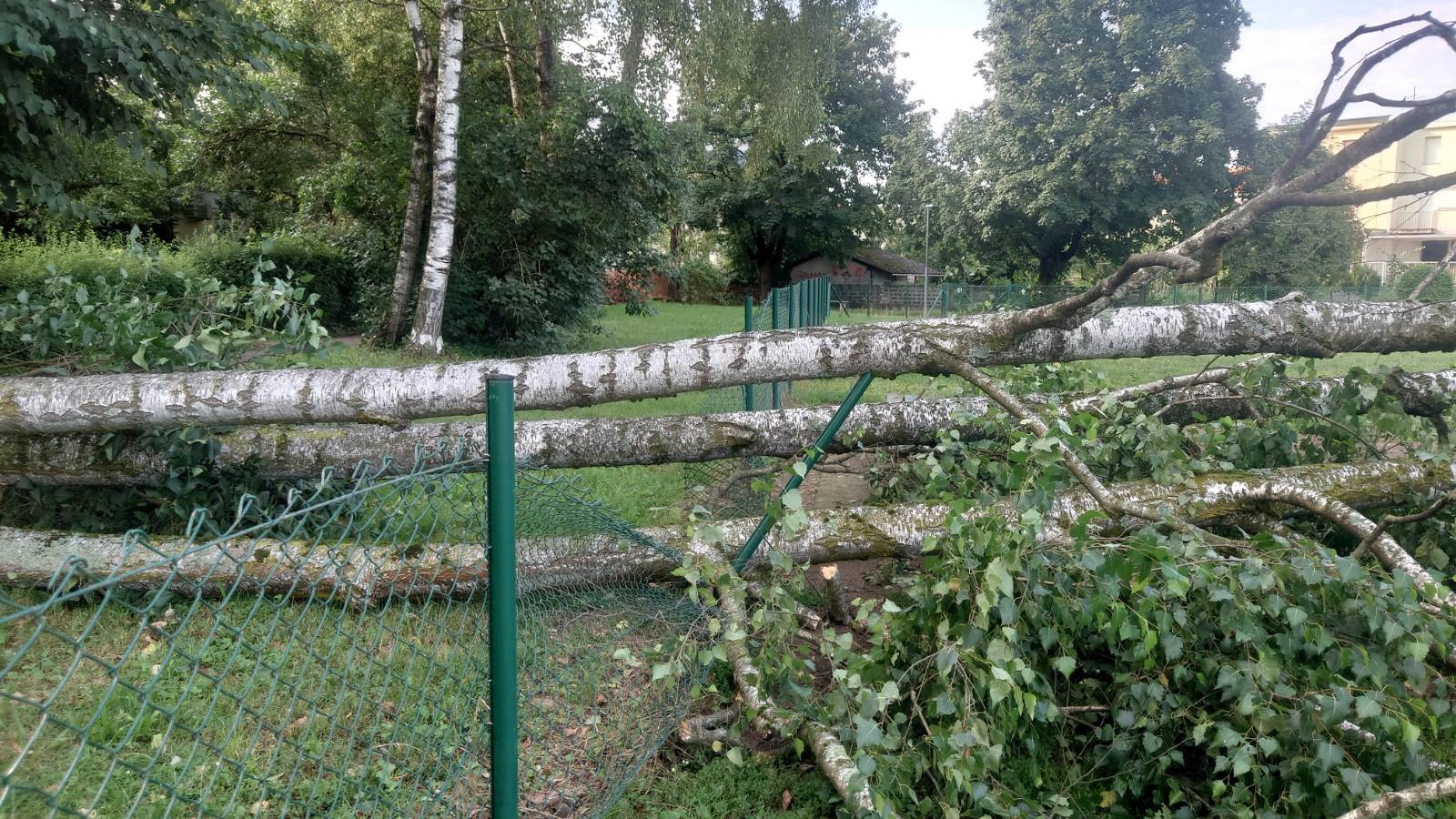 Posledice neurja na Koseškem bajerju v Ljubljani.