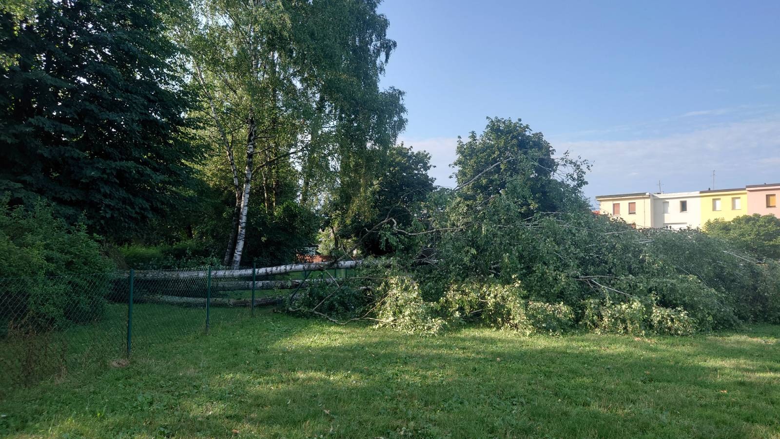 Posledice neurja na Koseškem bajerju v Ljubljani.