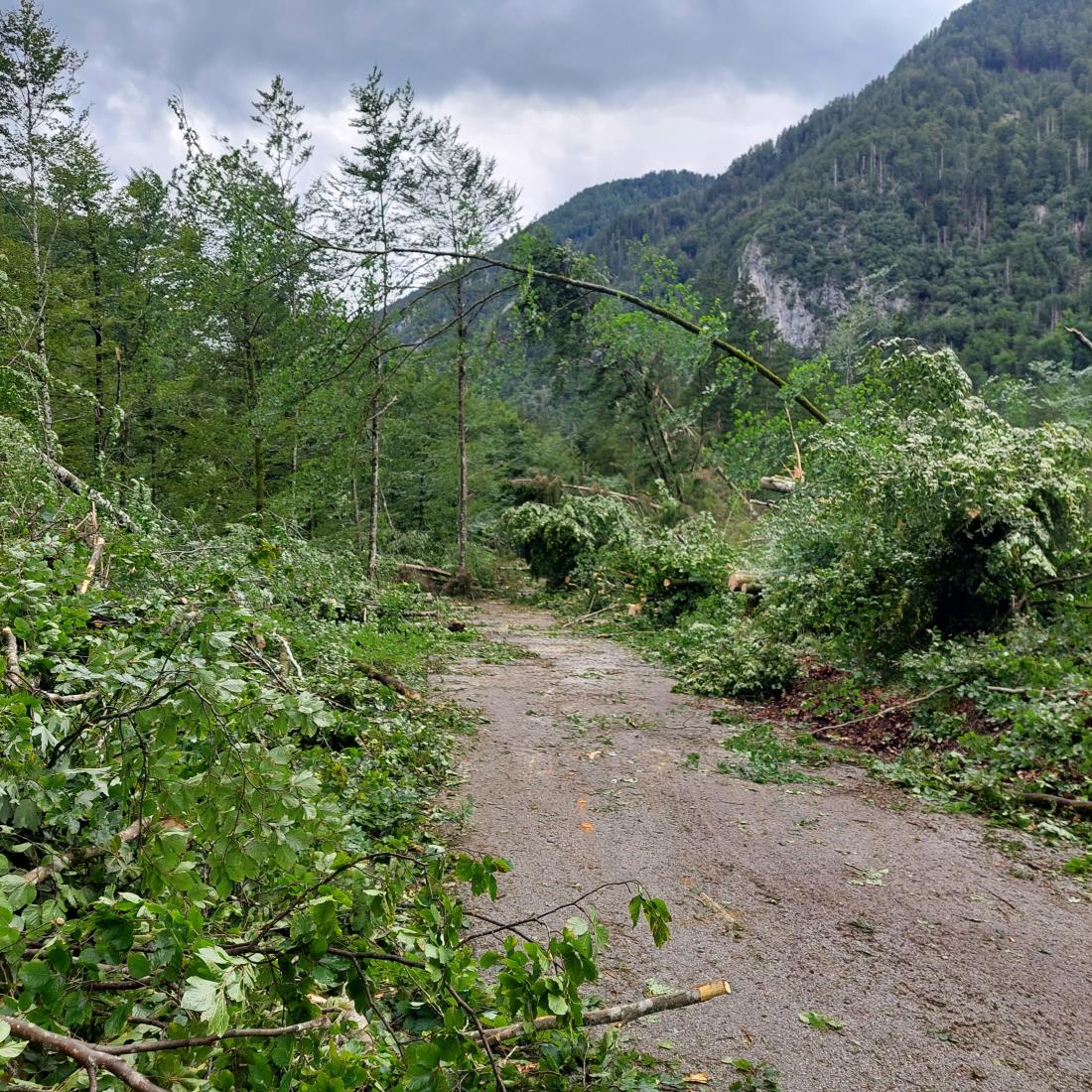 Občina Kranjska Gora