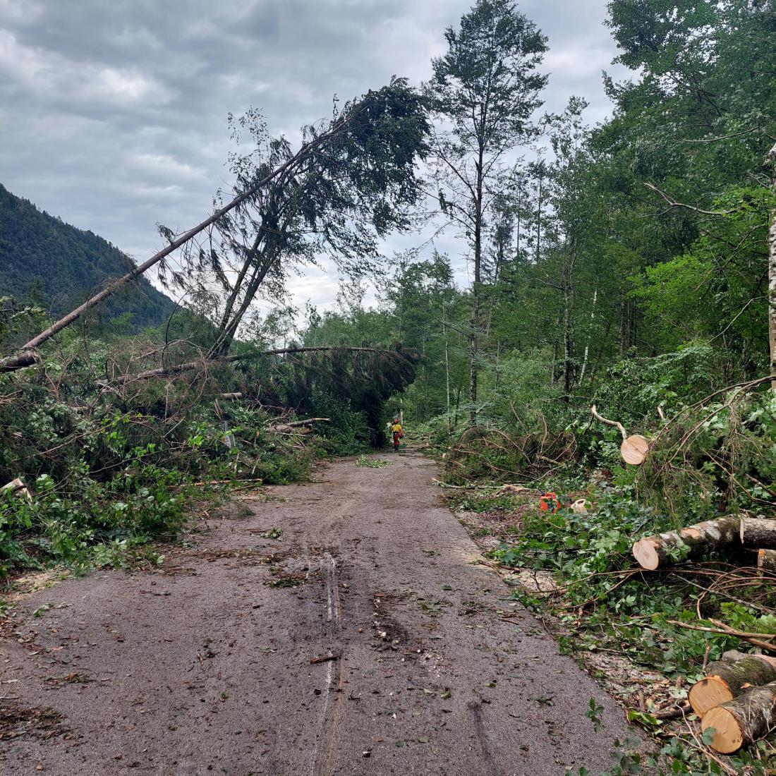 Vetrolom v Kranjski Gori