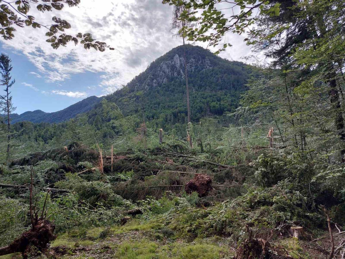 Vetrolom v Kranjski Gori